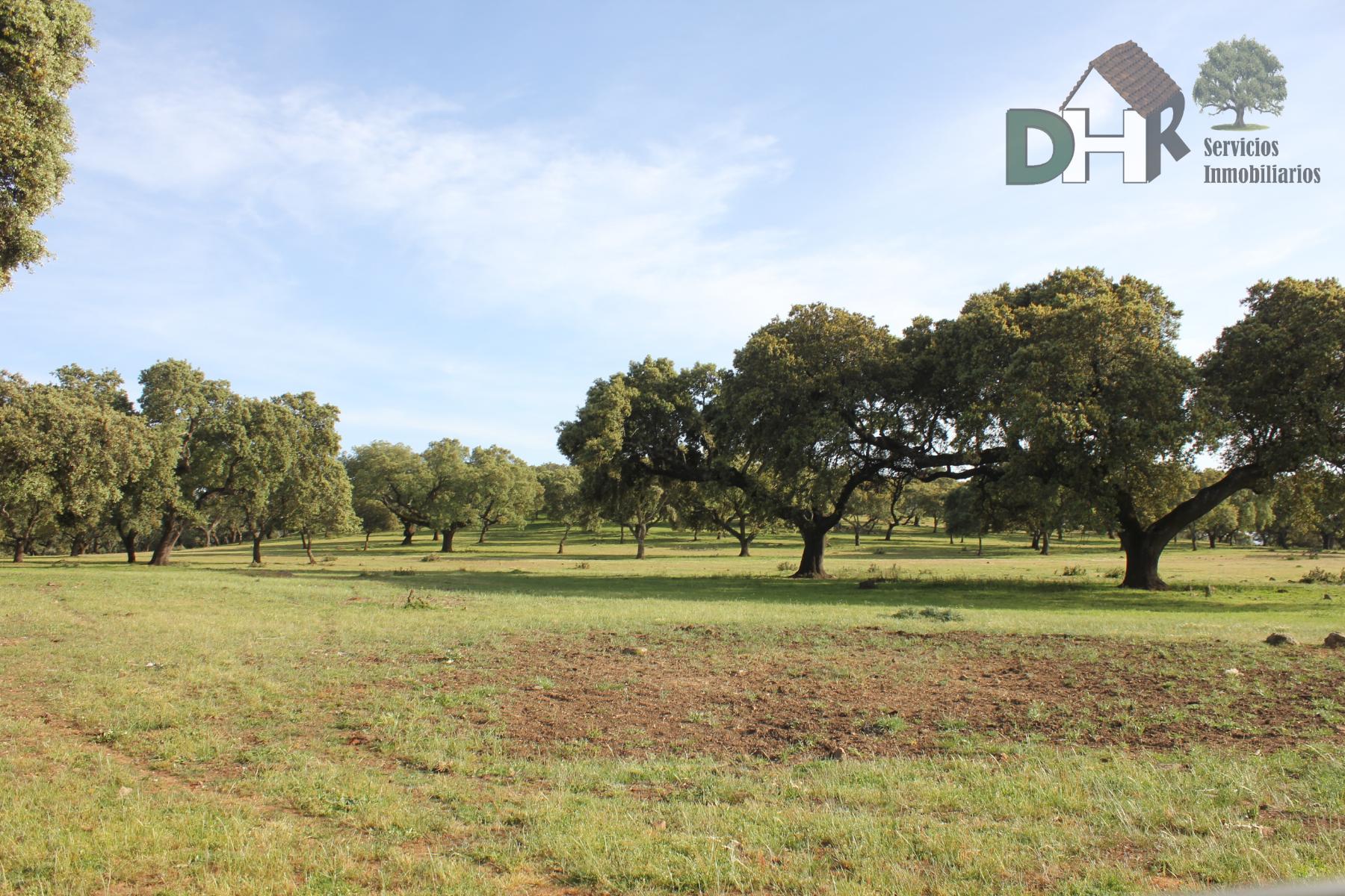 Venta de terreno en Badajoz