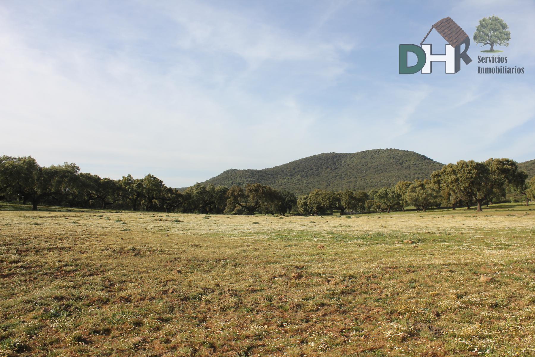 Venta de terreno en Badajoz