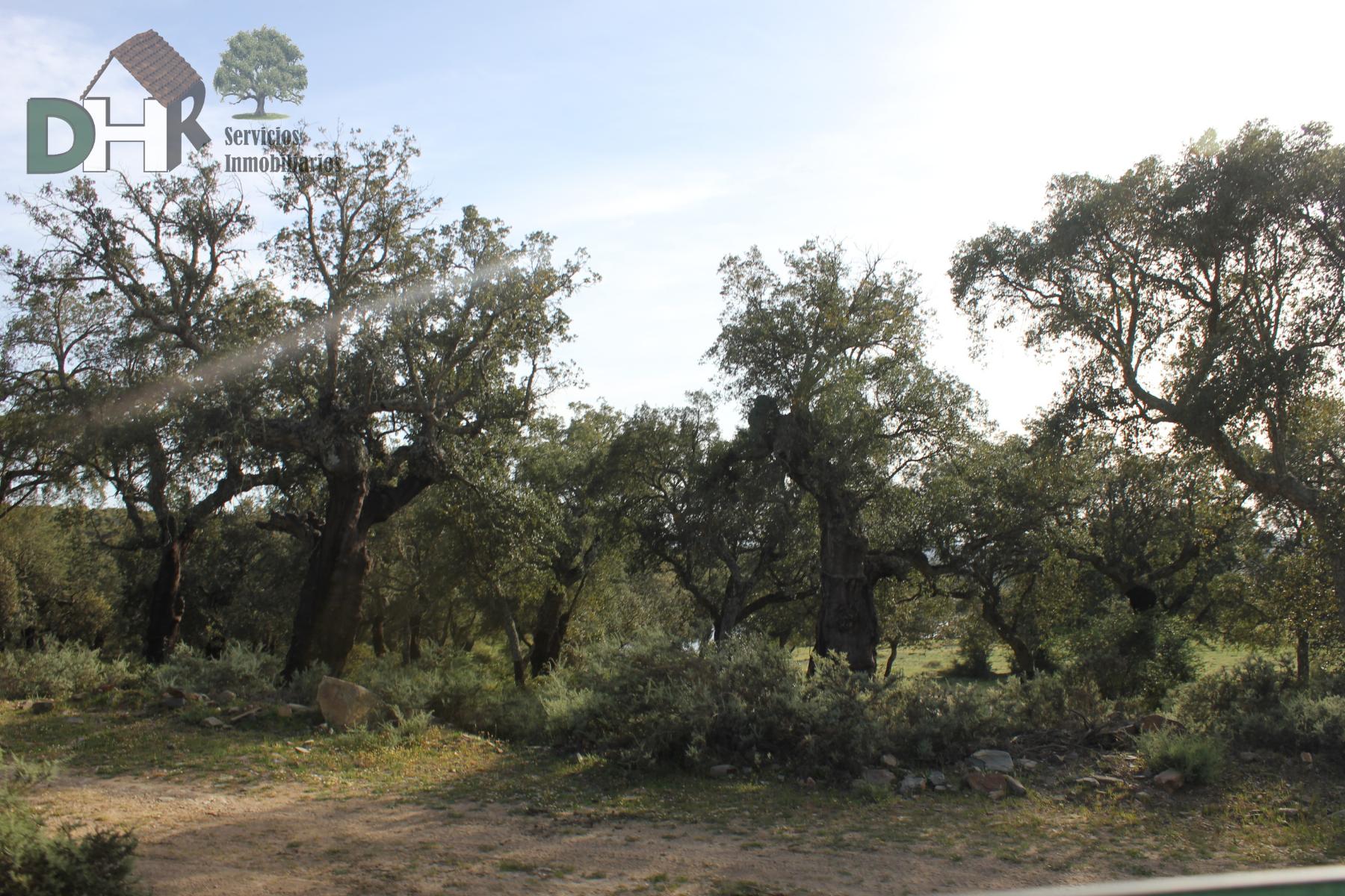 Venta de terreno en Badajoz