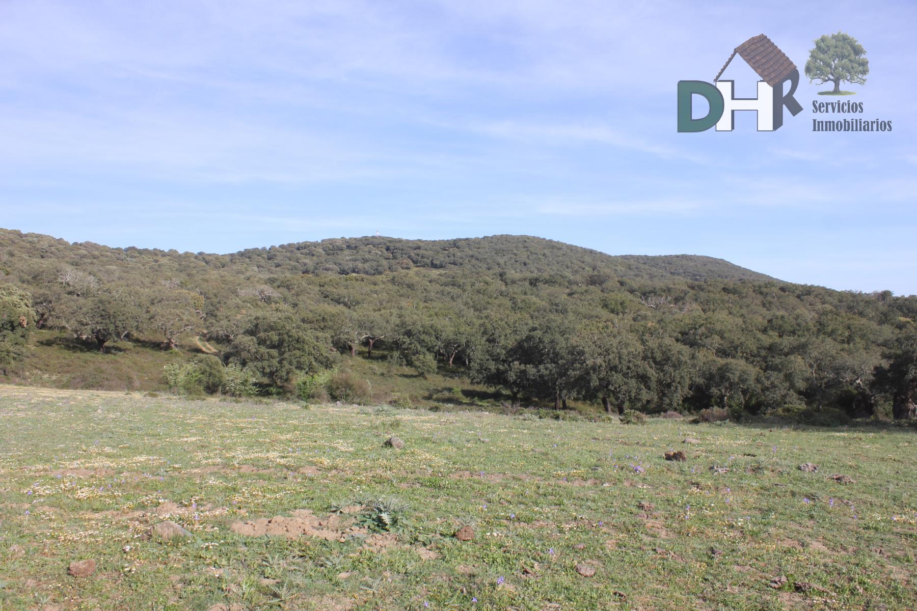 For sale of land in Badajoz