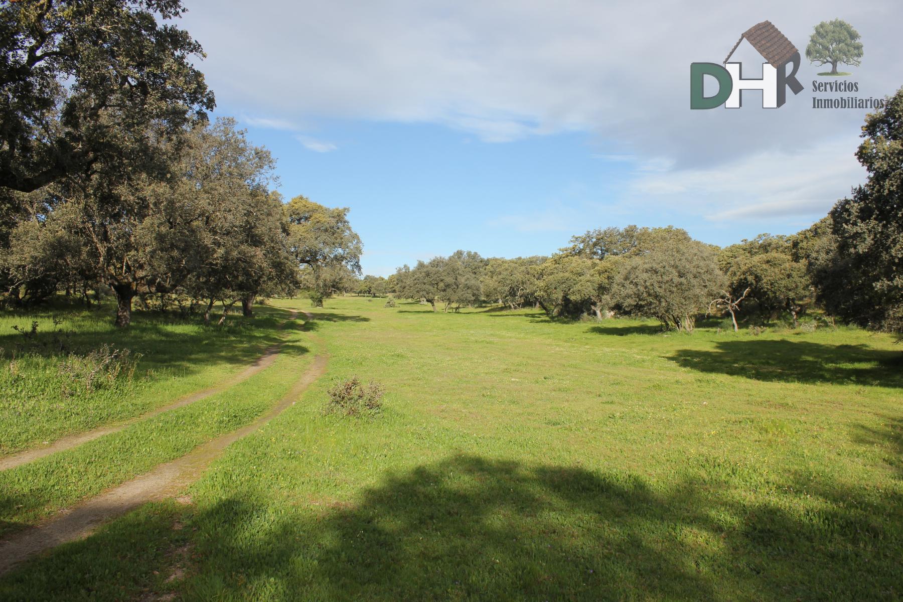 For sale of land in Cáceres