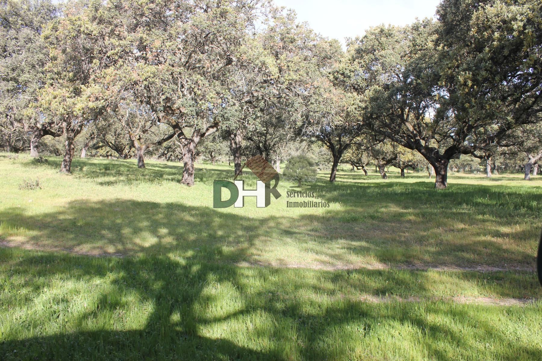 For sale of land in Cáceres