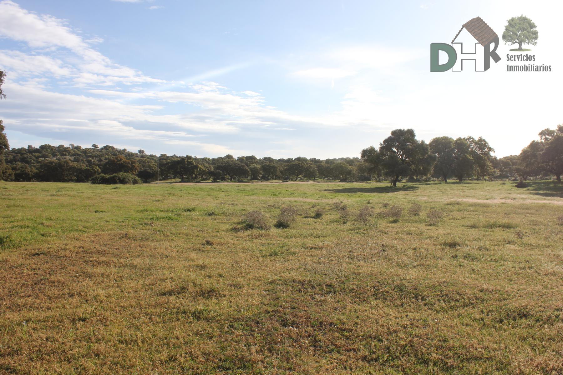 For sale of land in Cáceres