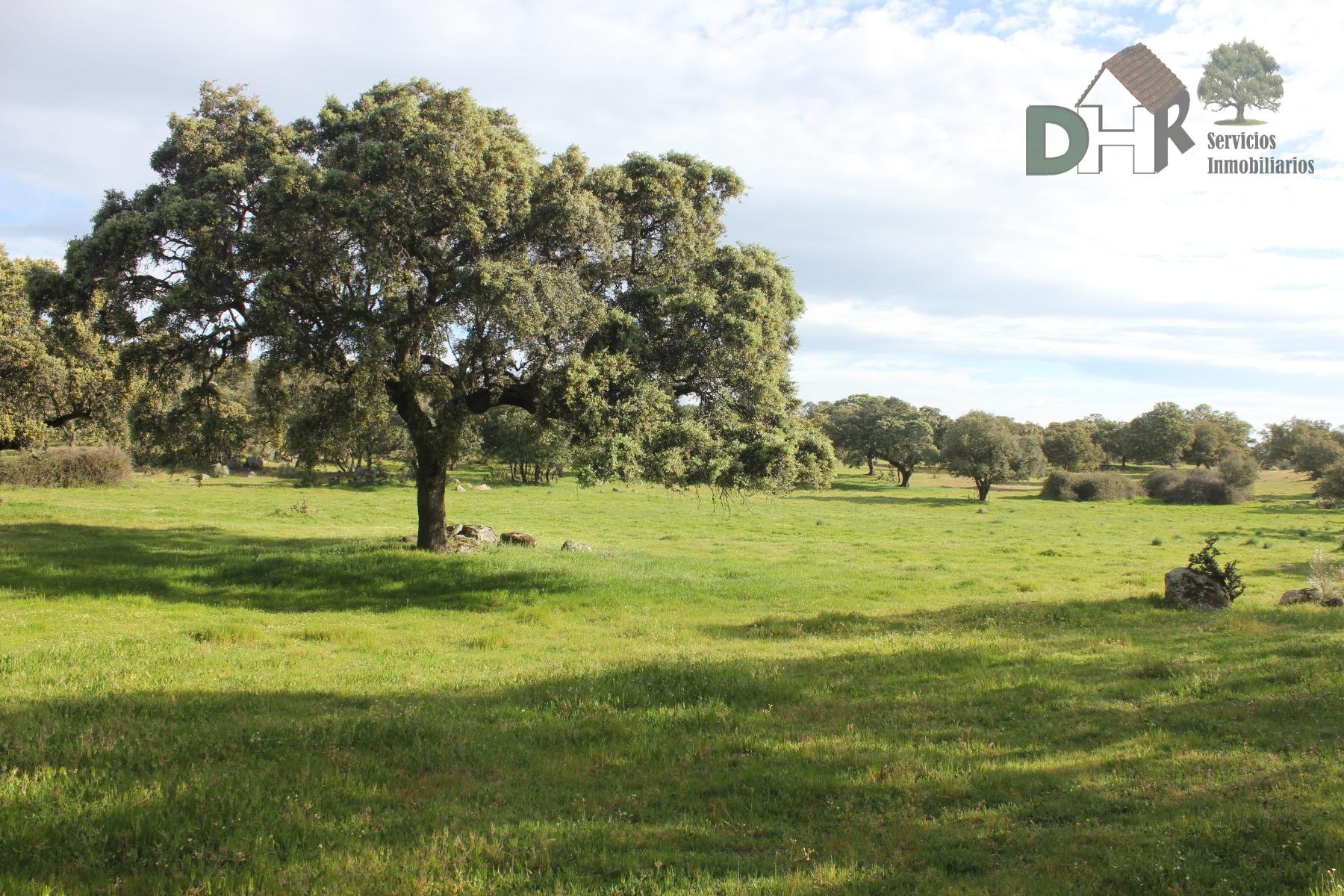 For sale of land in Cáceres