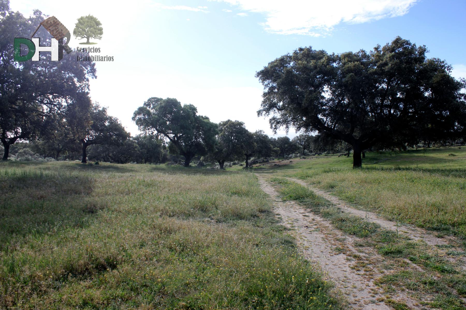 Venta de terreno en Cáceres