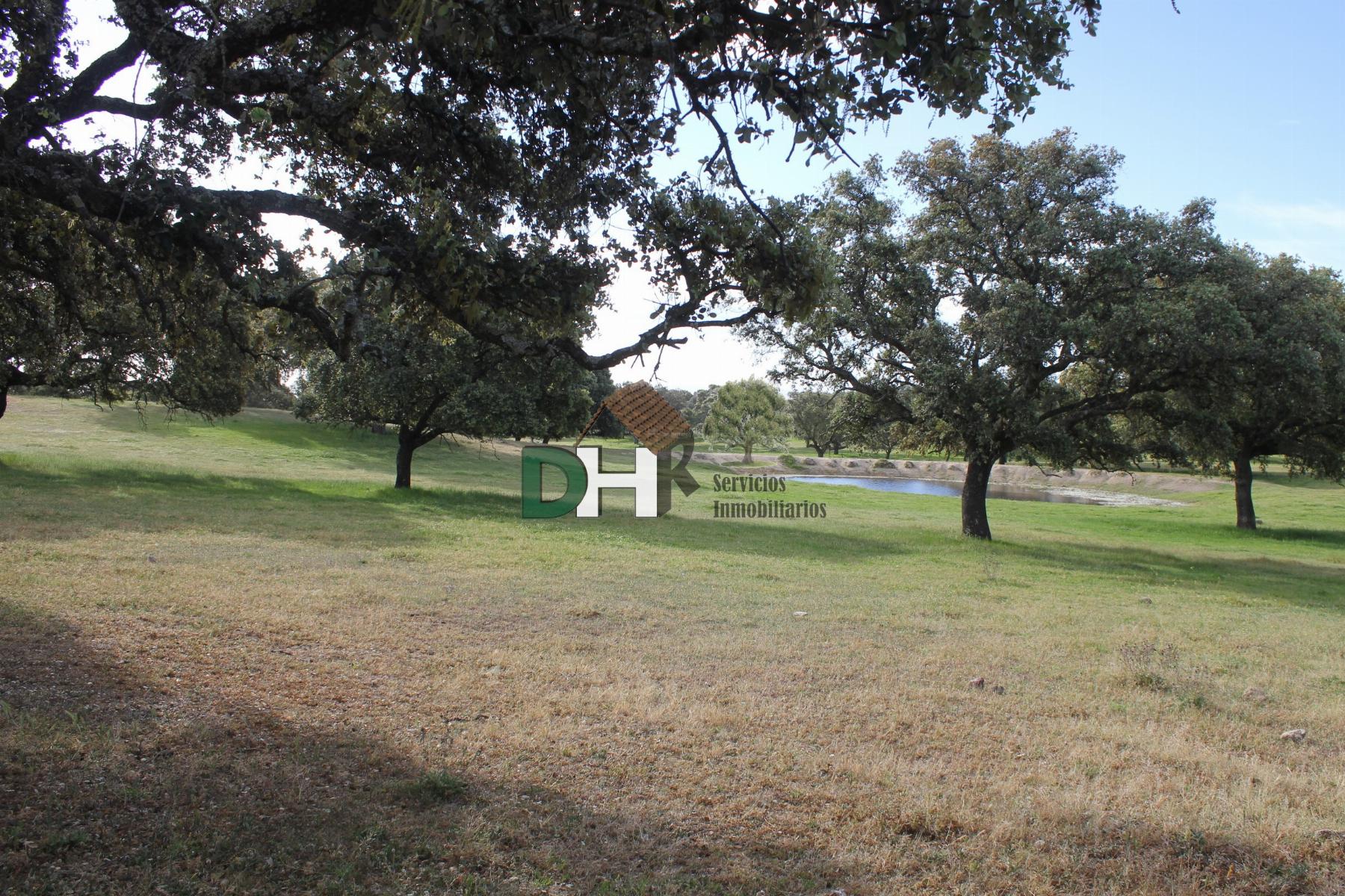 For sale of land in Cáceres