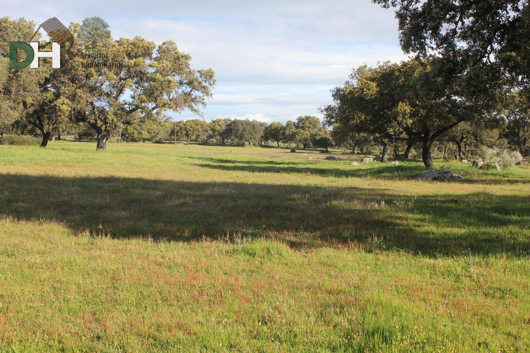 Venta de terreno en Cáceres