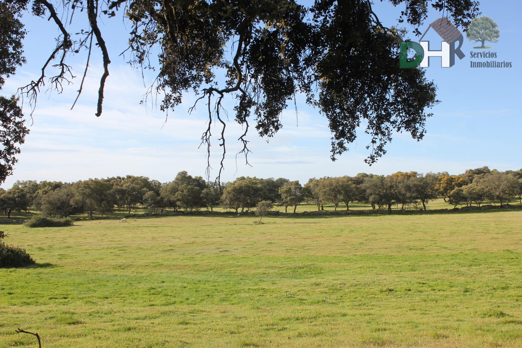 For sale of land in Cáceres