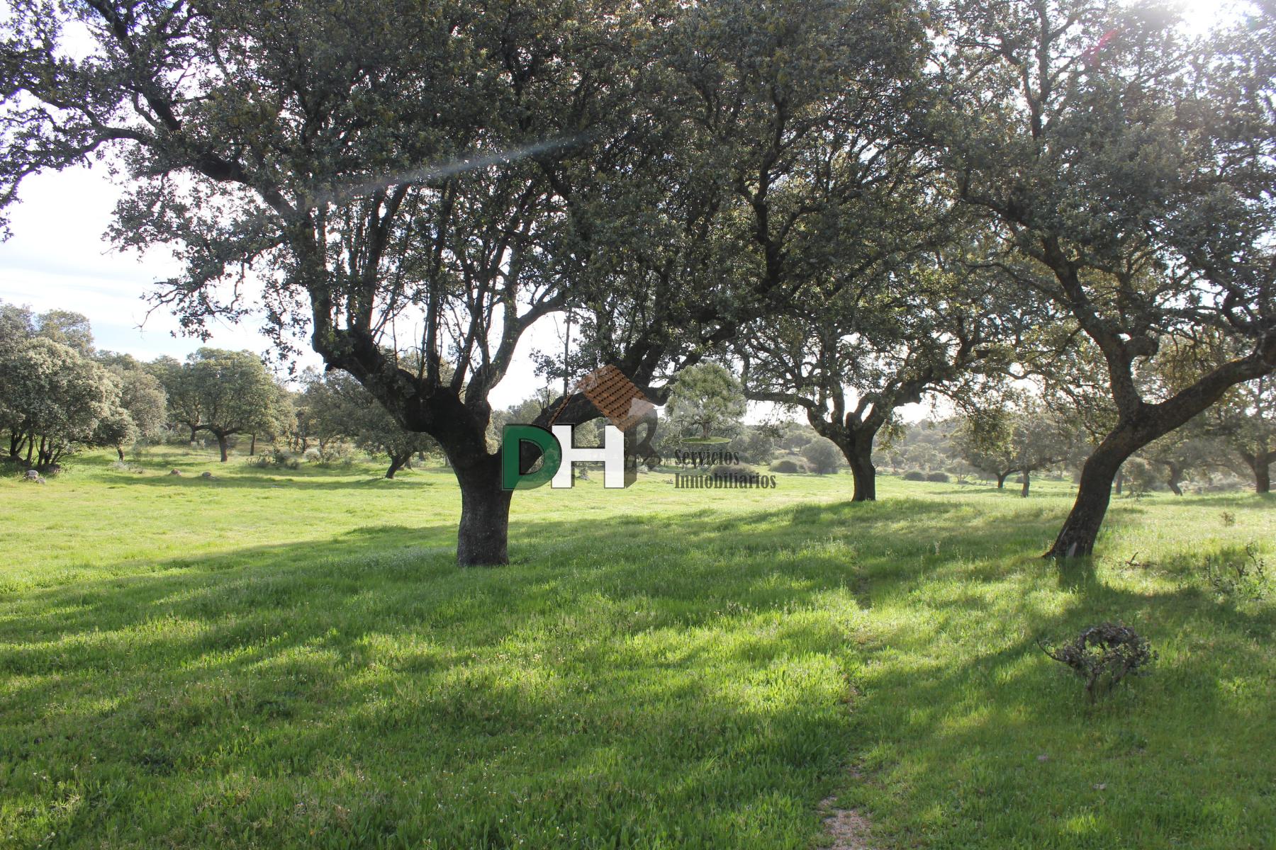 Venta de terreno en Cáceres