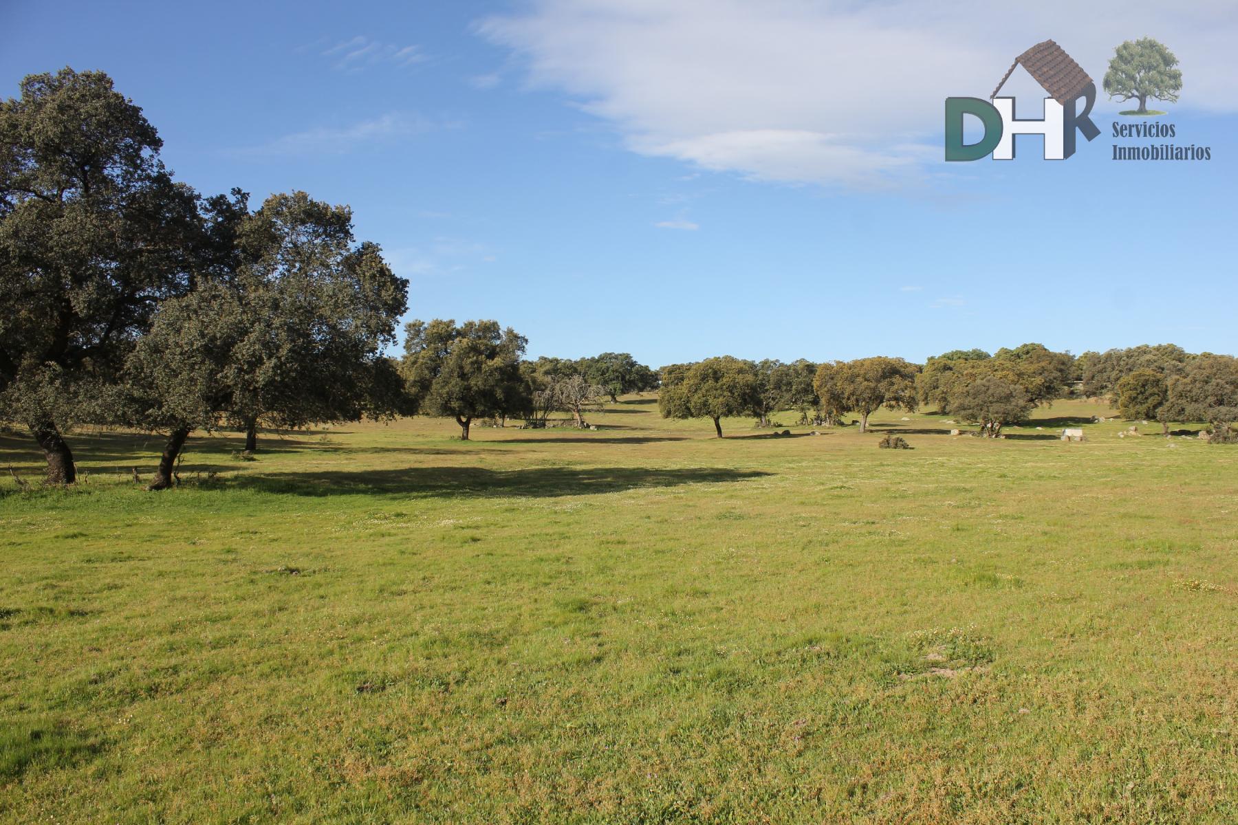 For sale of land in Cáceres