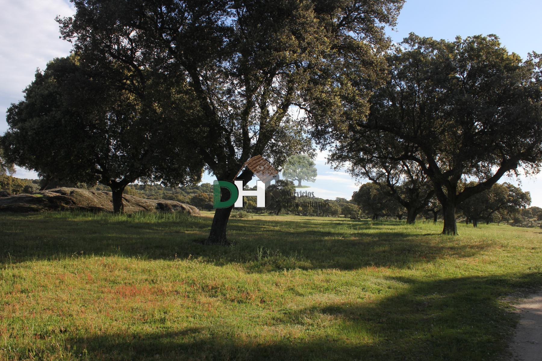 For sale of land in Cáceres