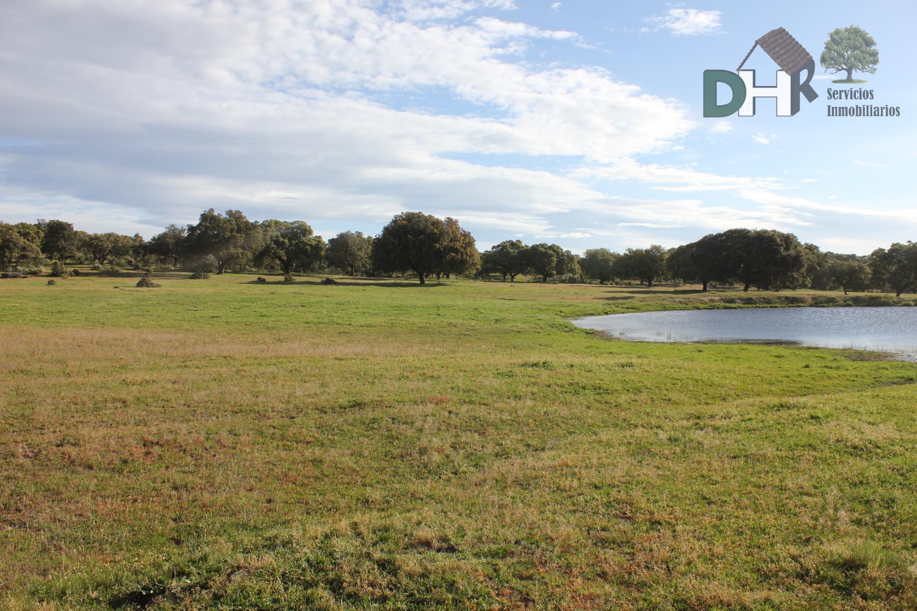 For sale of land in Cáceres