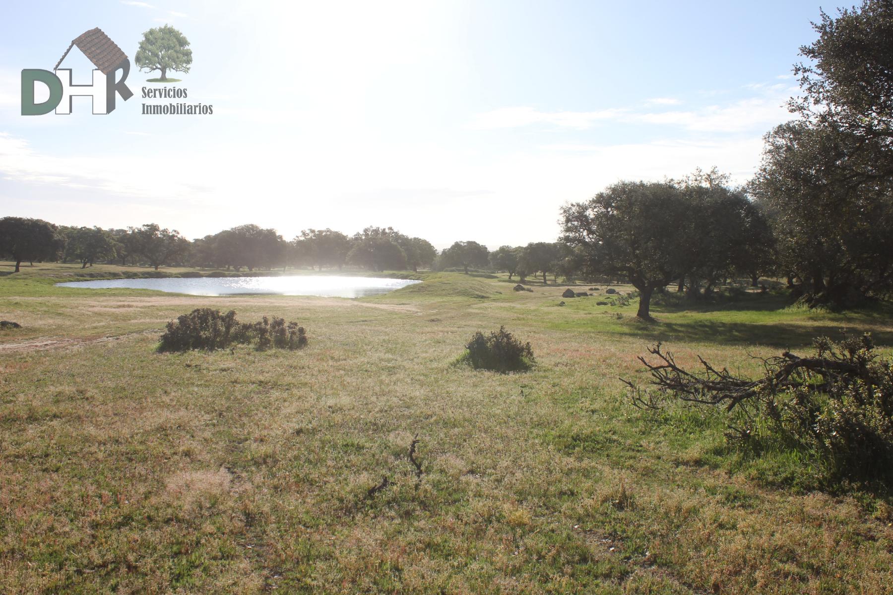 For sale of land in Cáceres