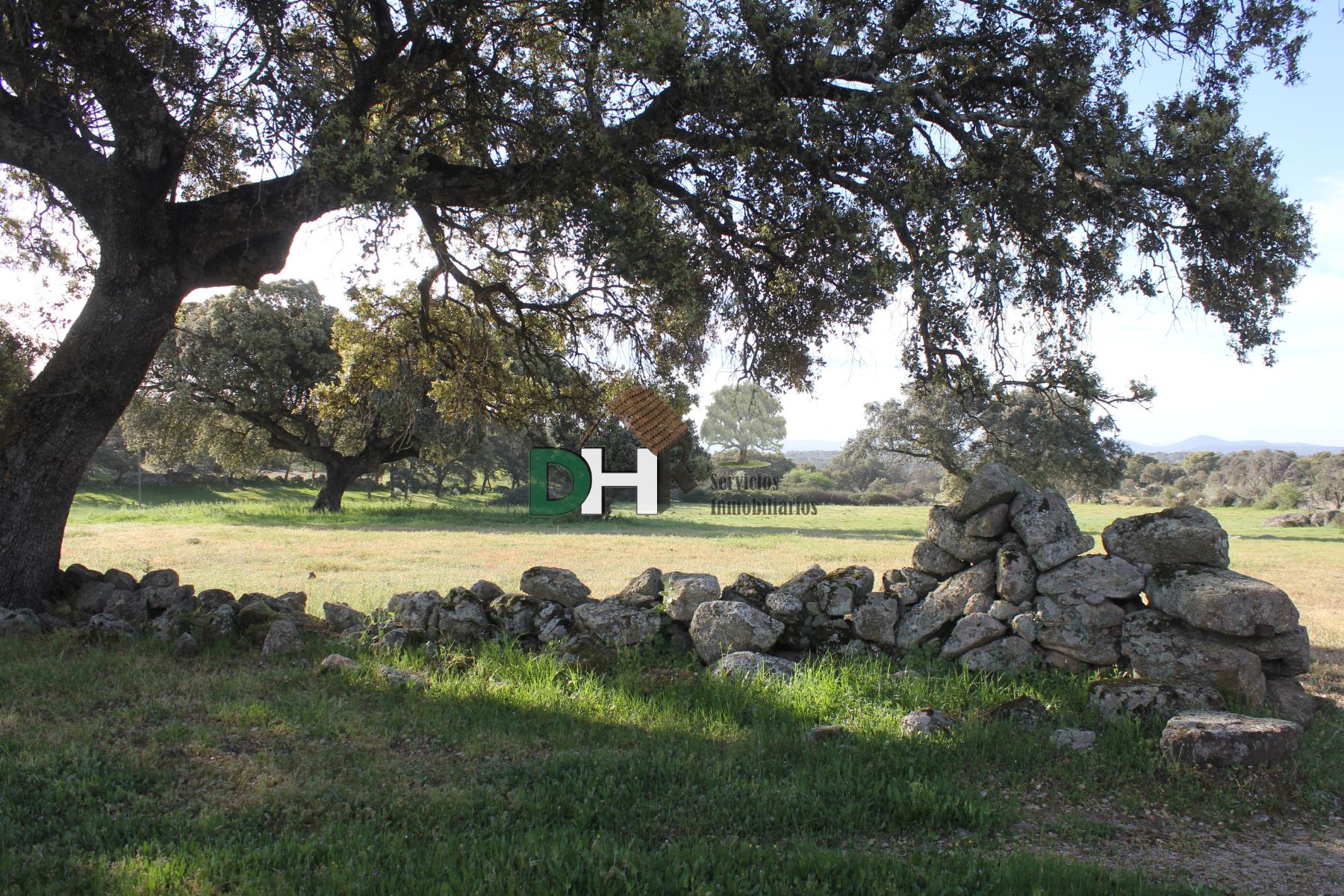 Venta de terreno en Cáceres