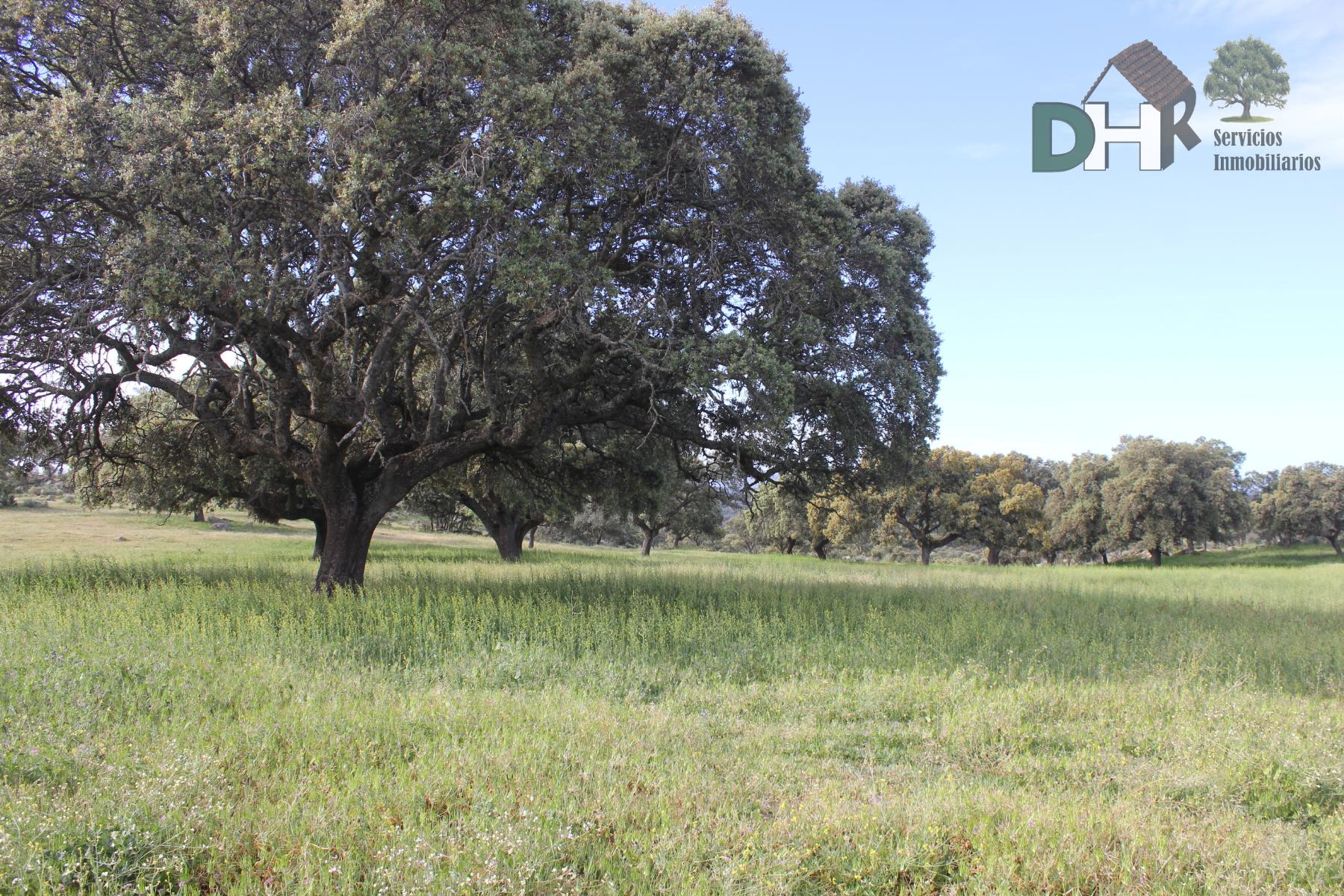 For sale of land in Cáceres