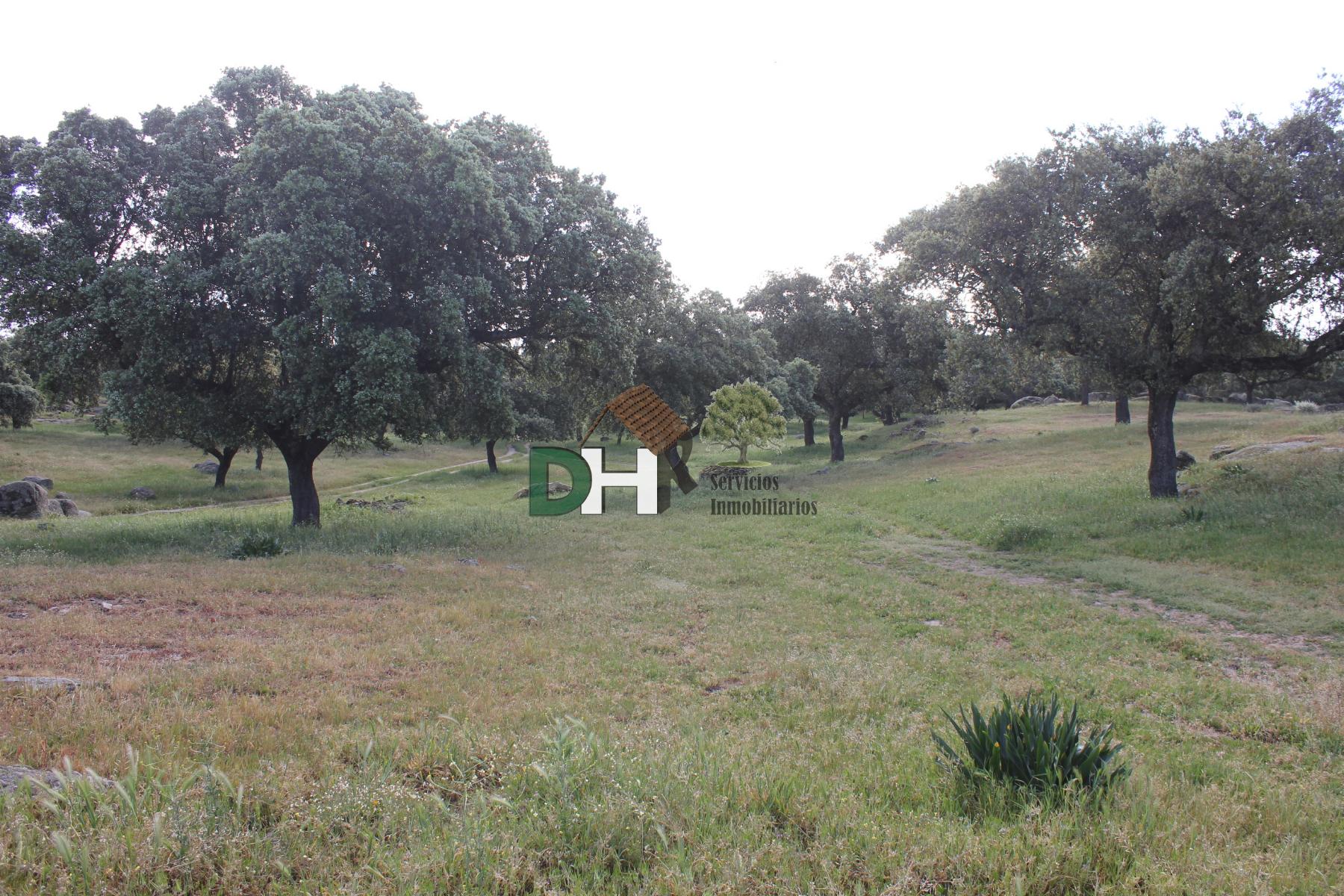 For sale of land in Cáceres