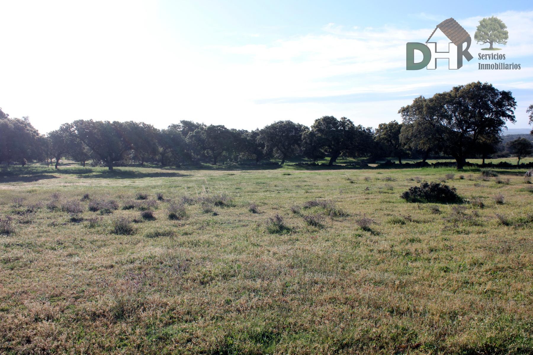 For sale of land in Cáceres