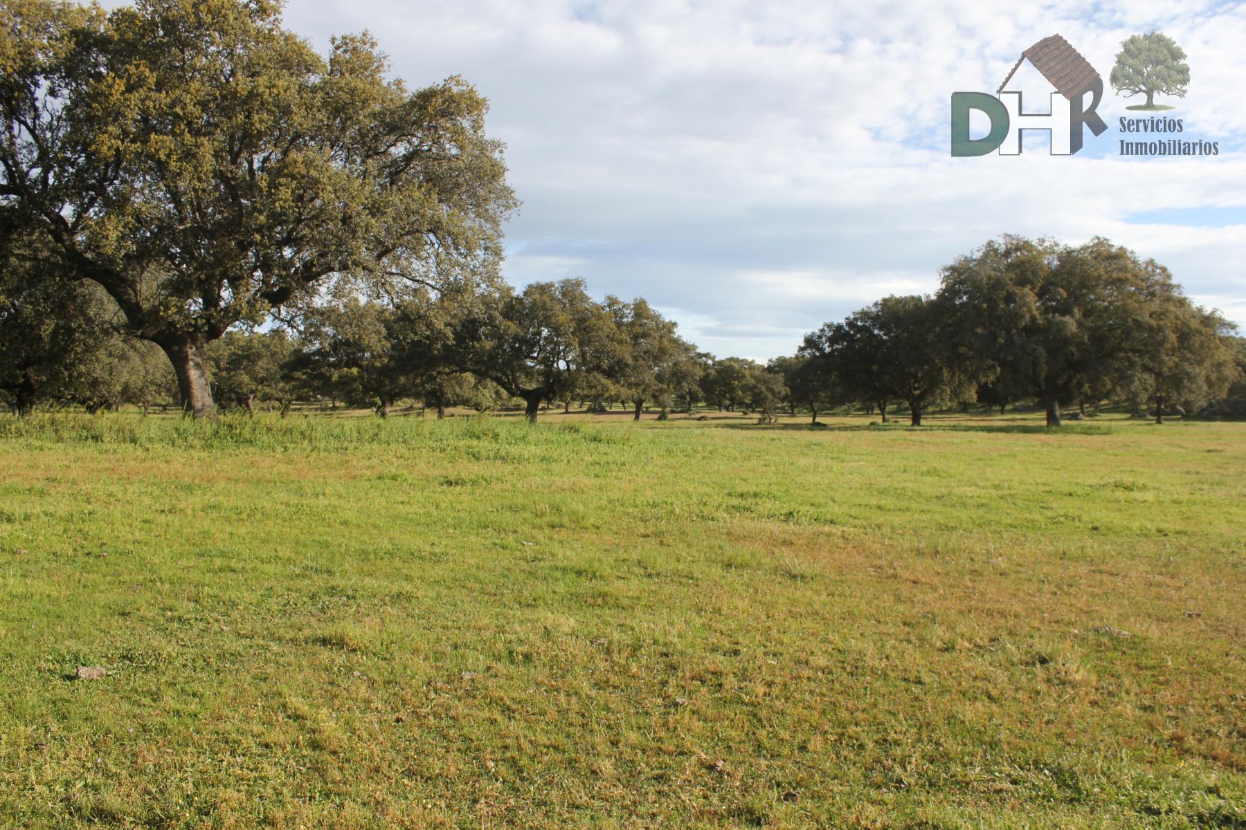 For sale of land in Cáceres