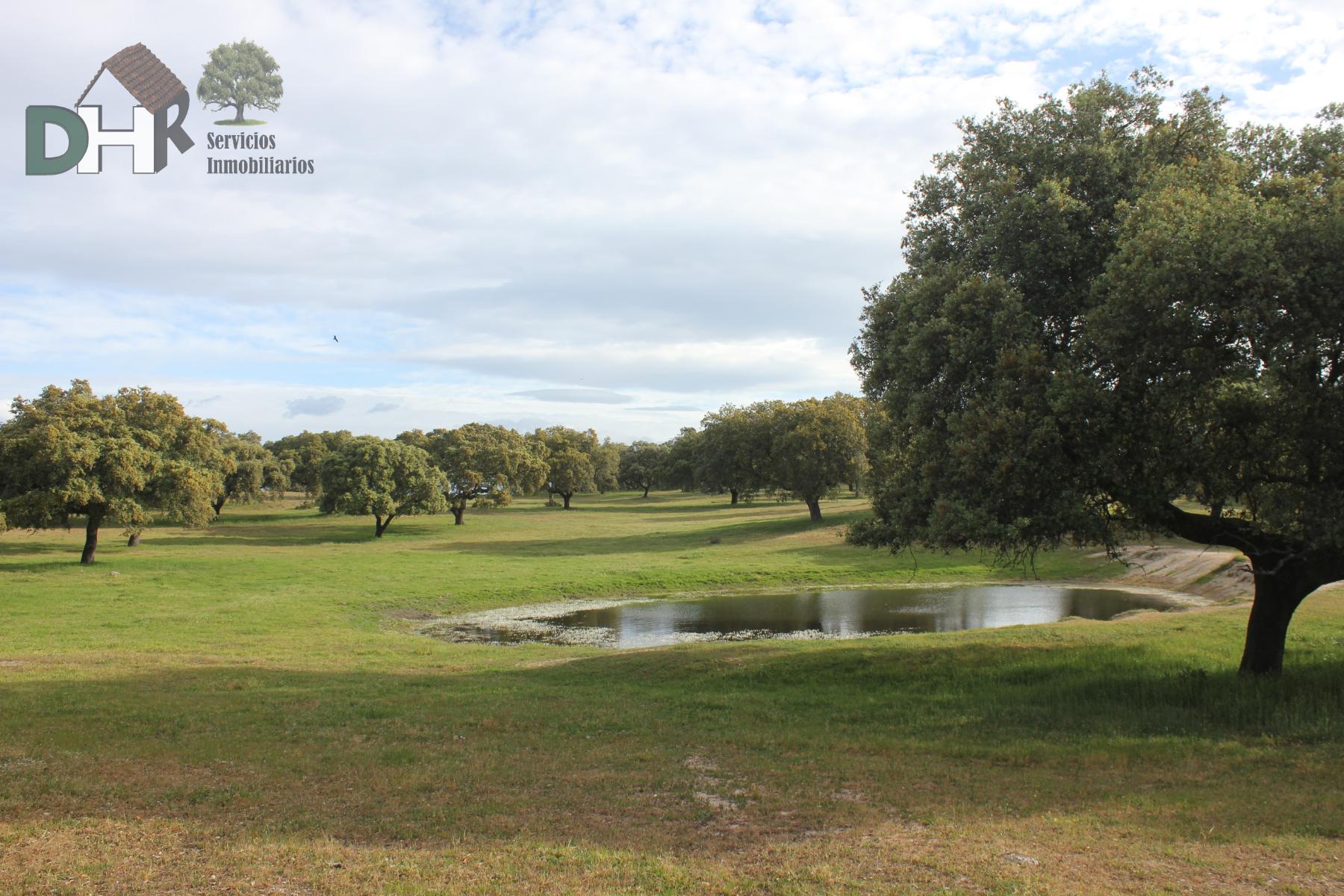 Venta de terreno en Cáceres