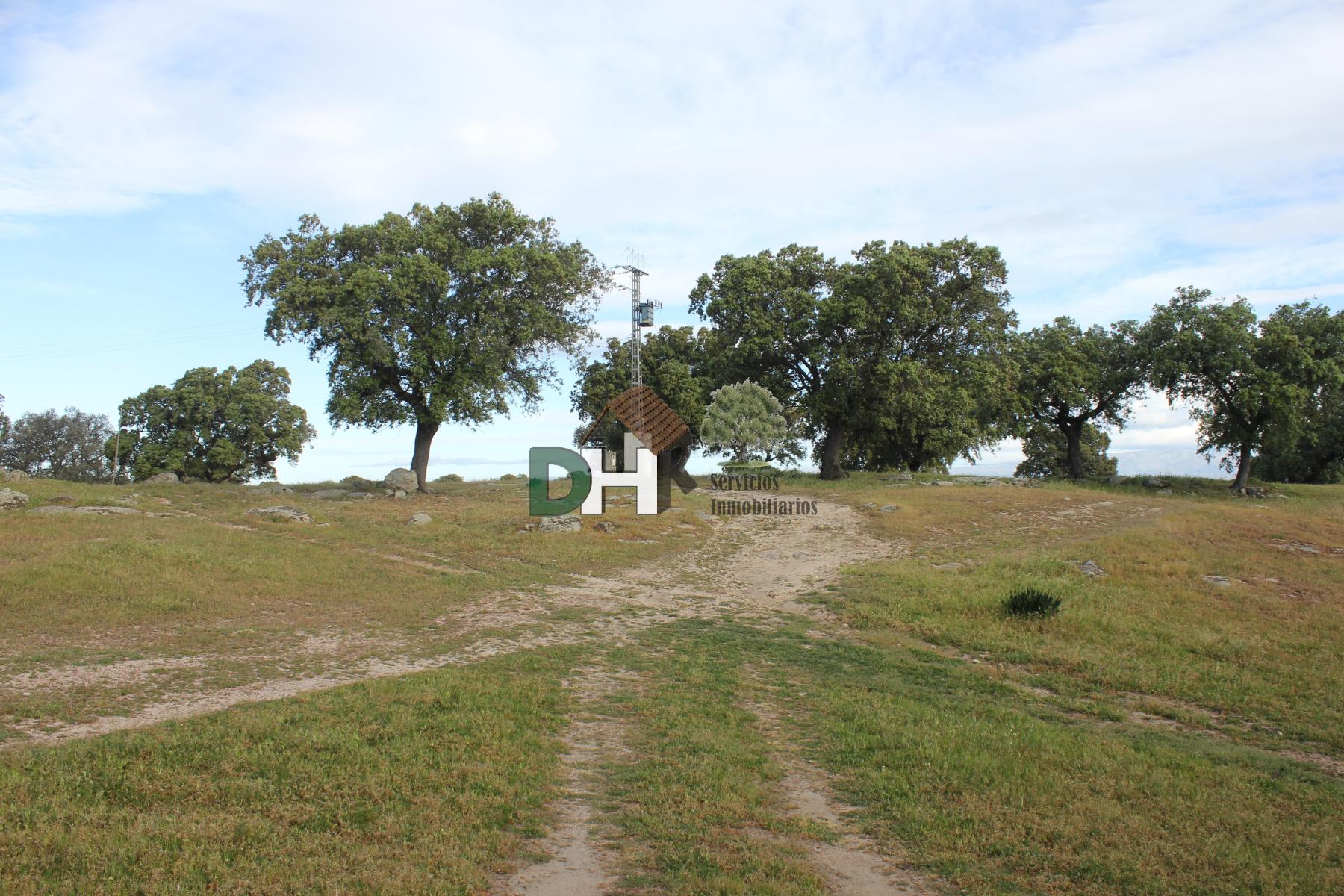 Venta de terreno en Cáceres