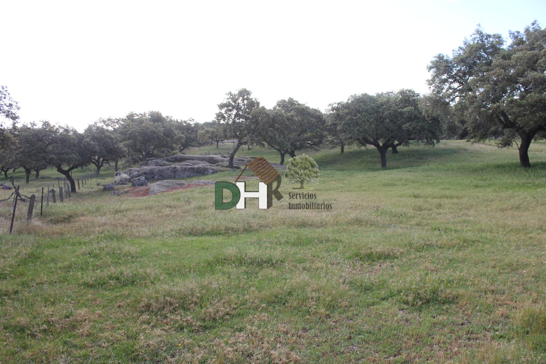 For sale of land in Cáceres