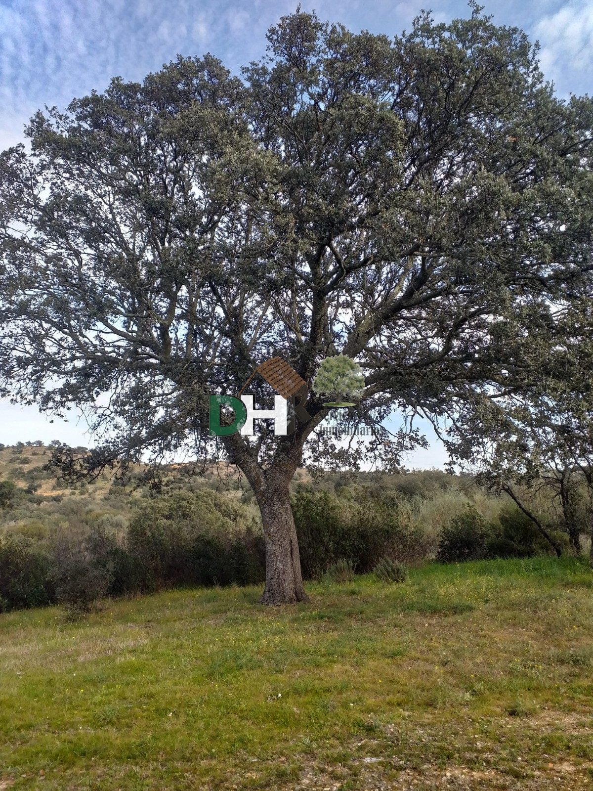 For sale of land in Mérida