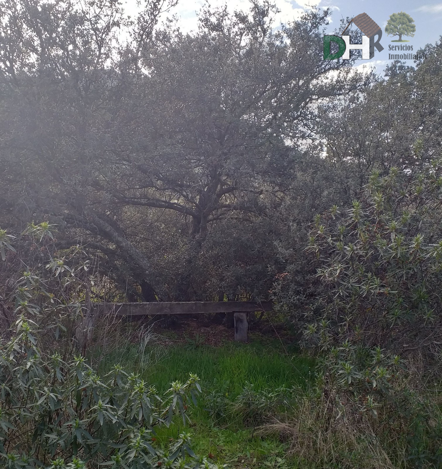 For sale of land in Mérida