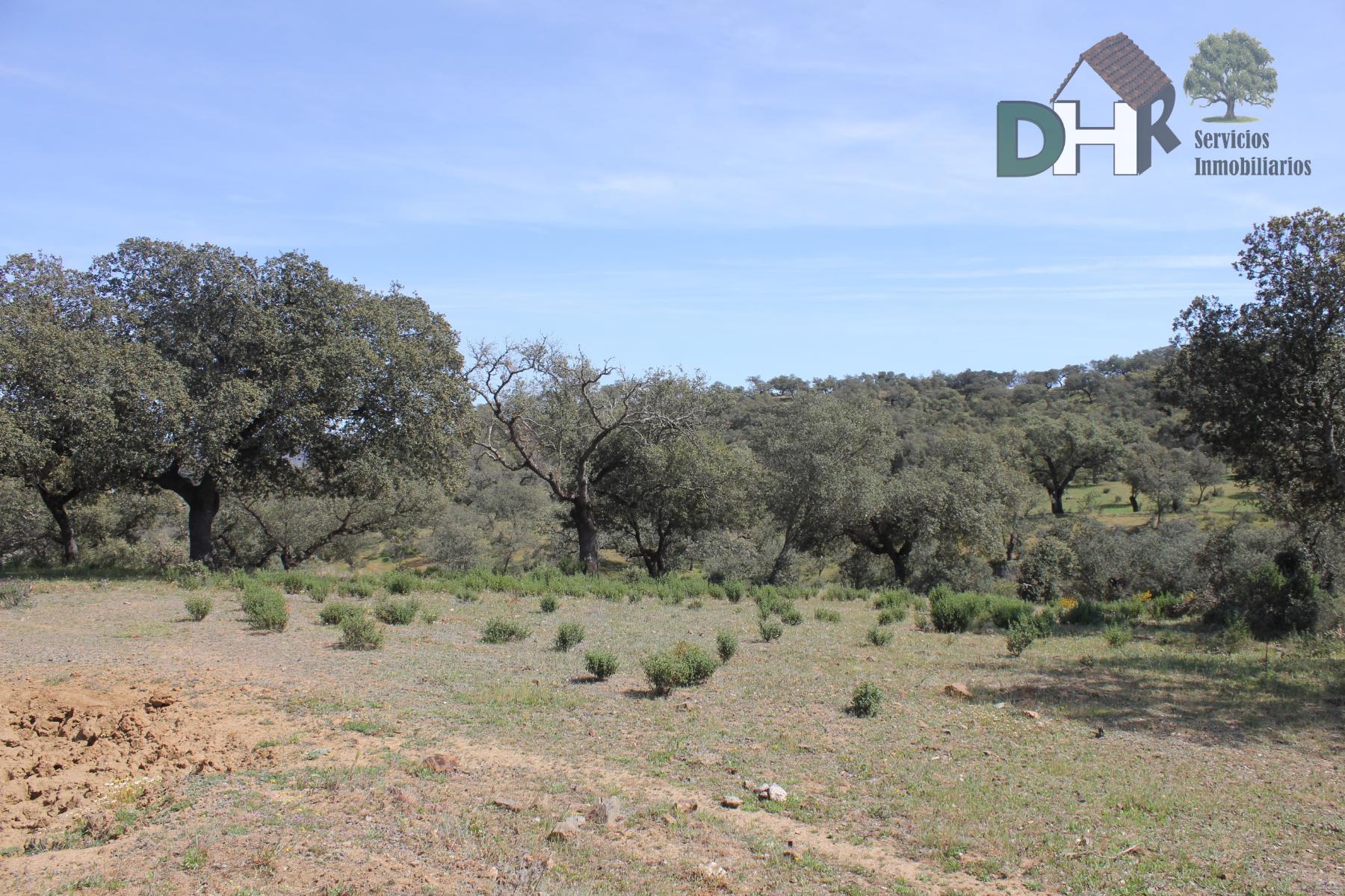 For sale of land in Badajoz