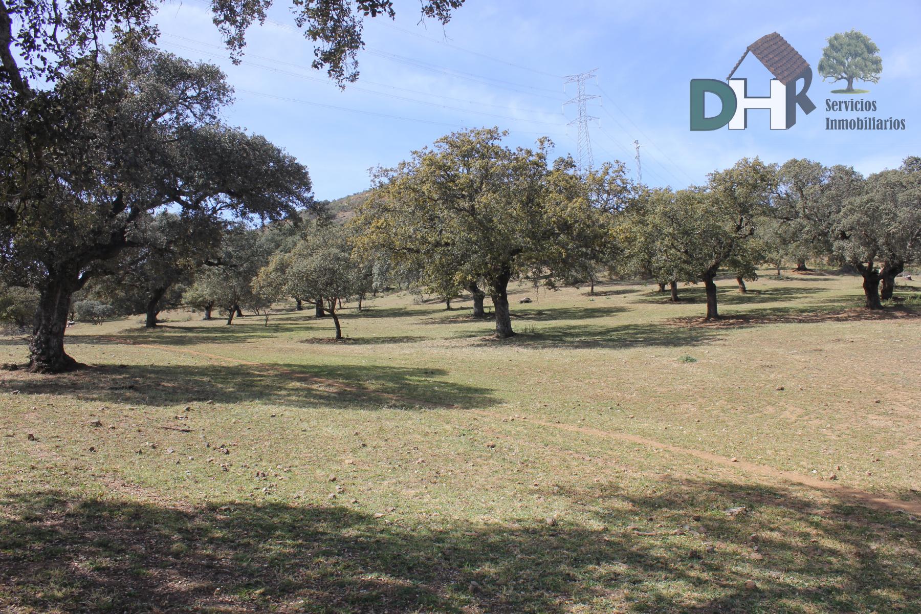 Venta de terreno en Badajoz