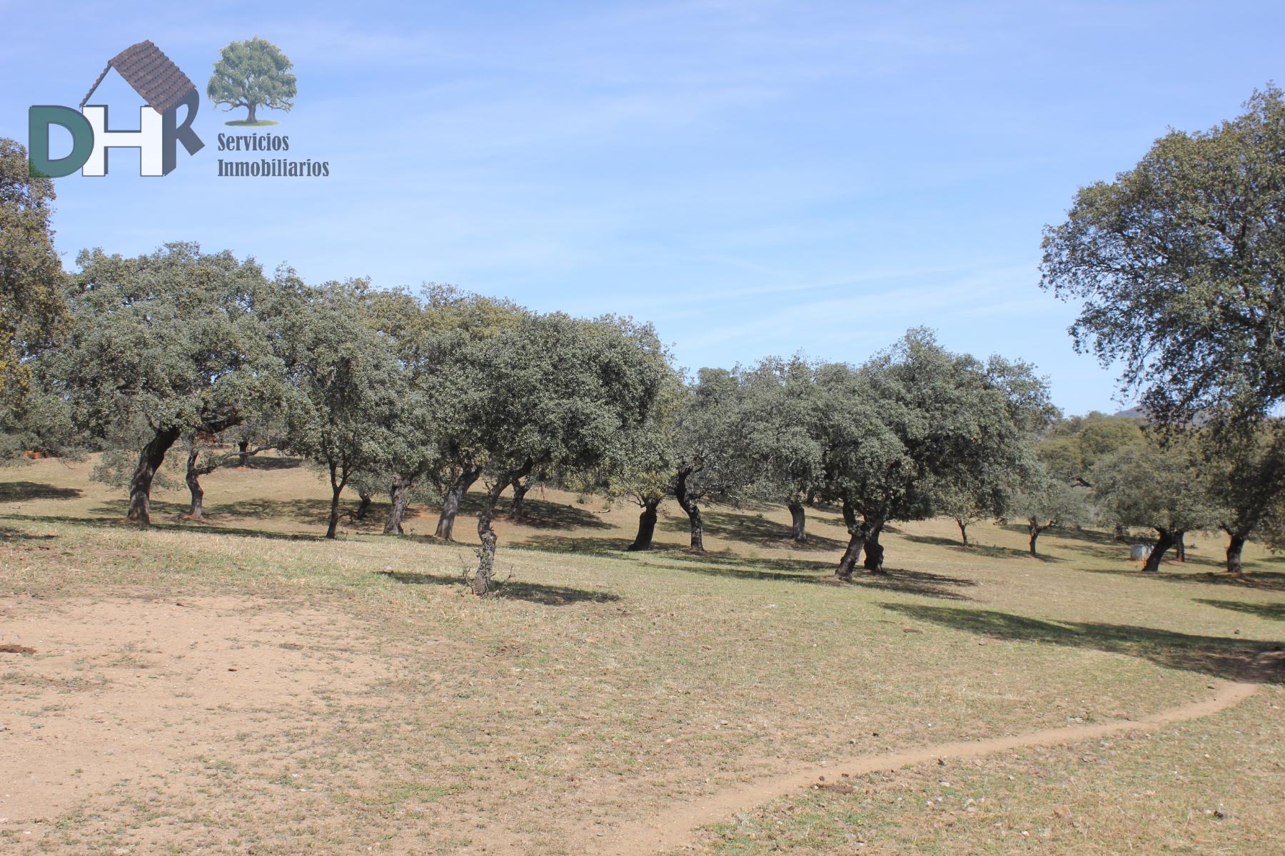 For sale of land in Badajoz