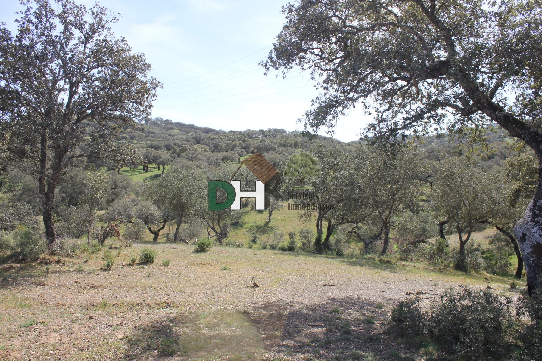 Venta de terreno en Badajoz