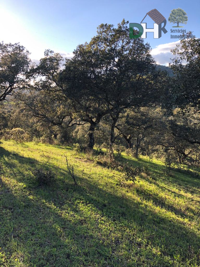 Venta de terreno en Badajoz