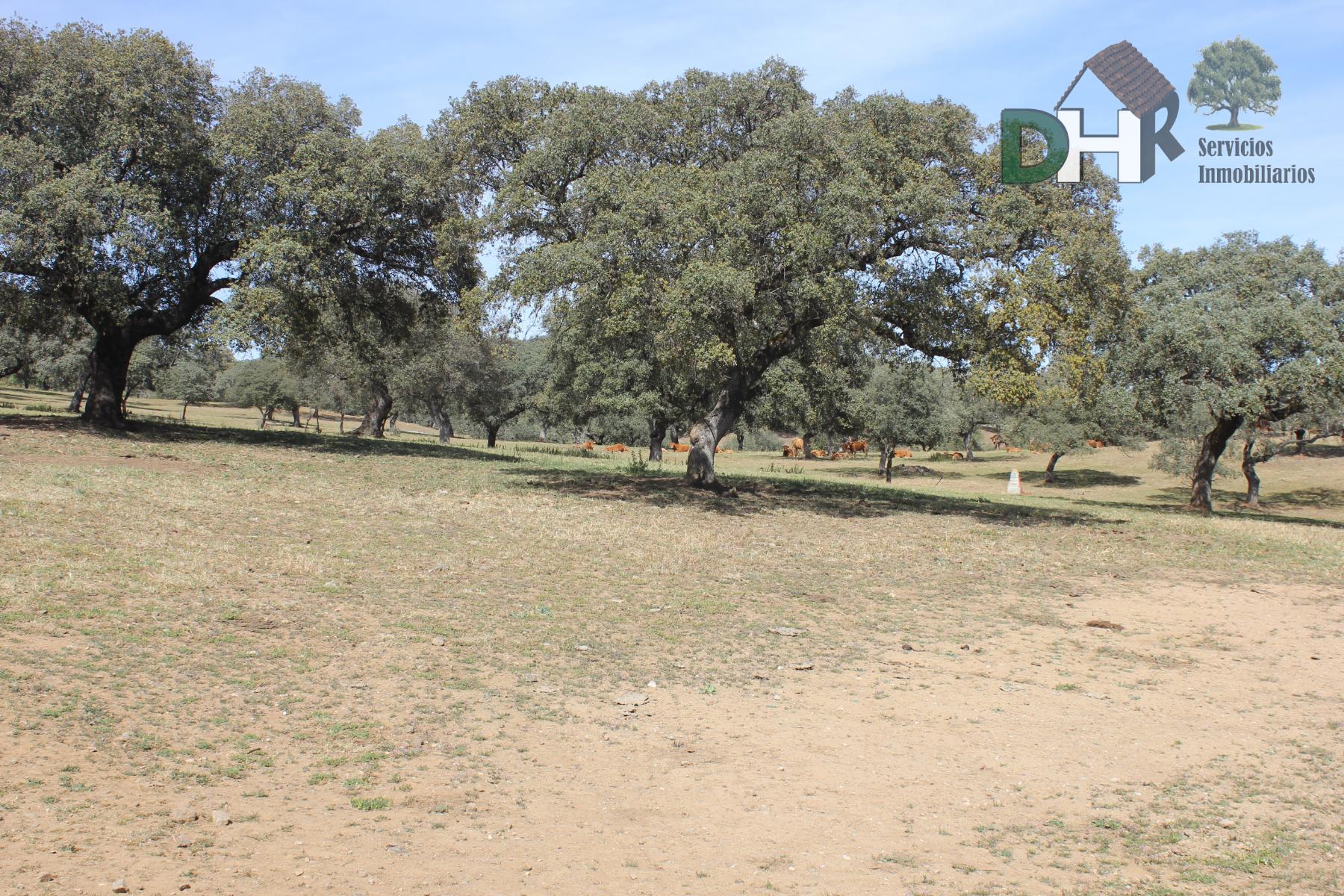 For sale of land in Badajoz