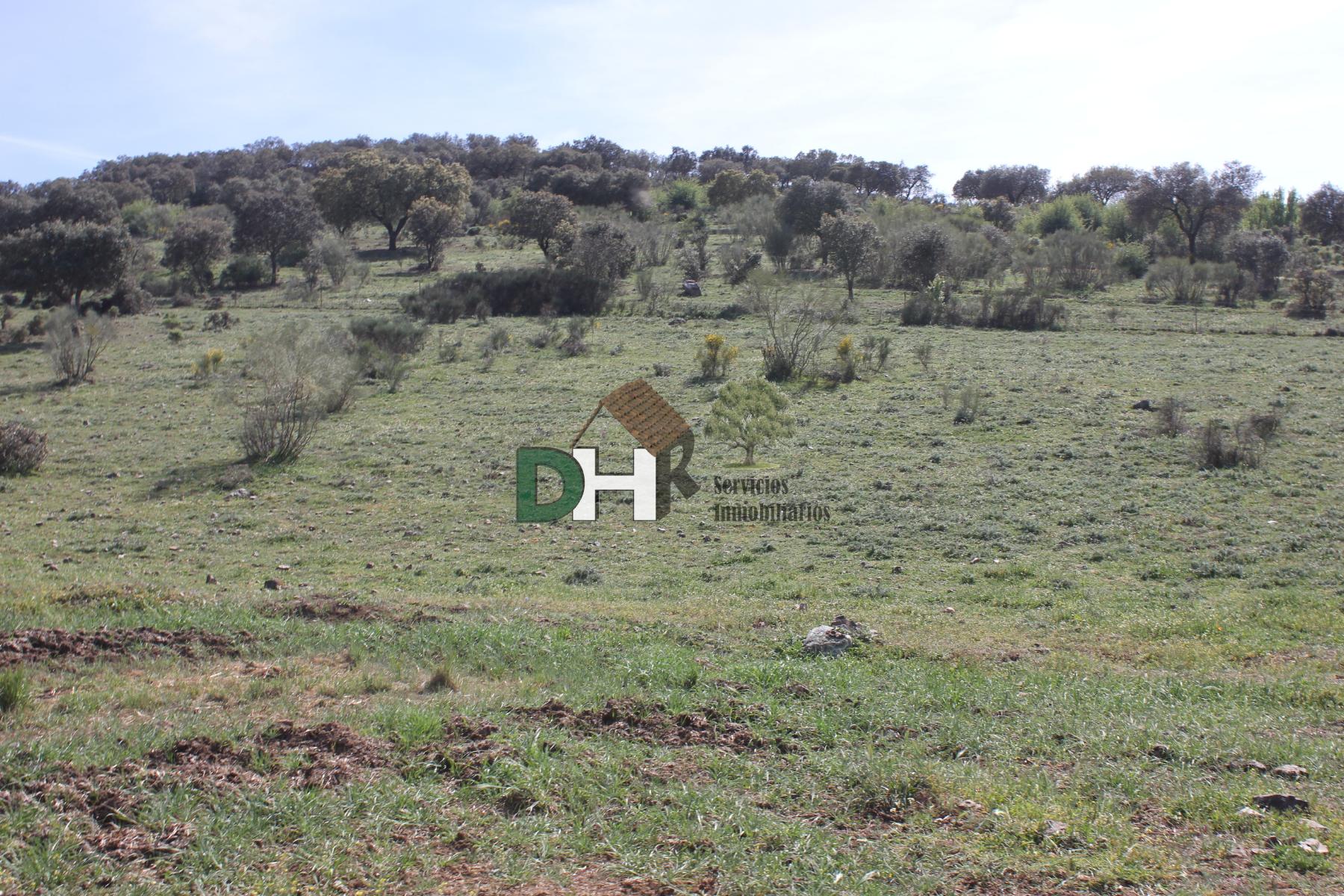 For sale of land in Badajoz