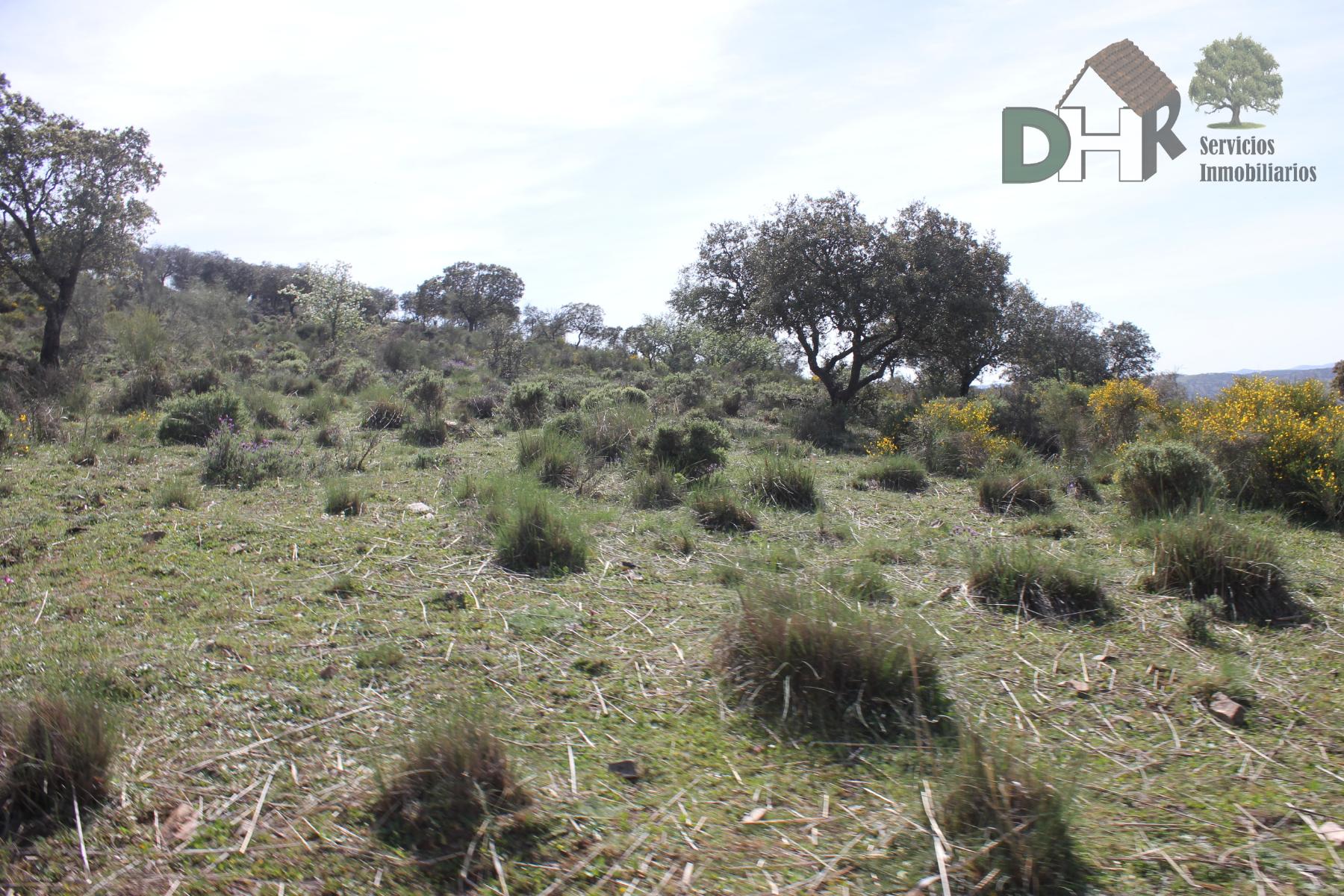 Venta de terreno en Badajoz