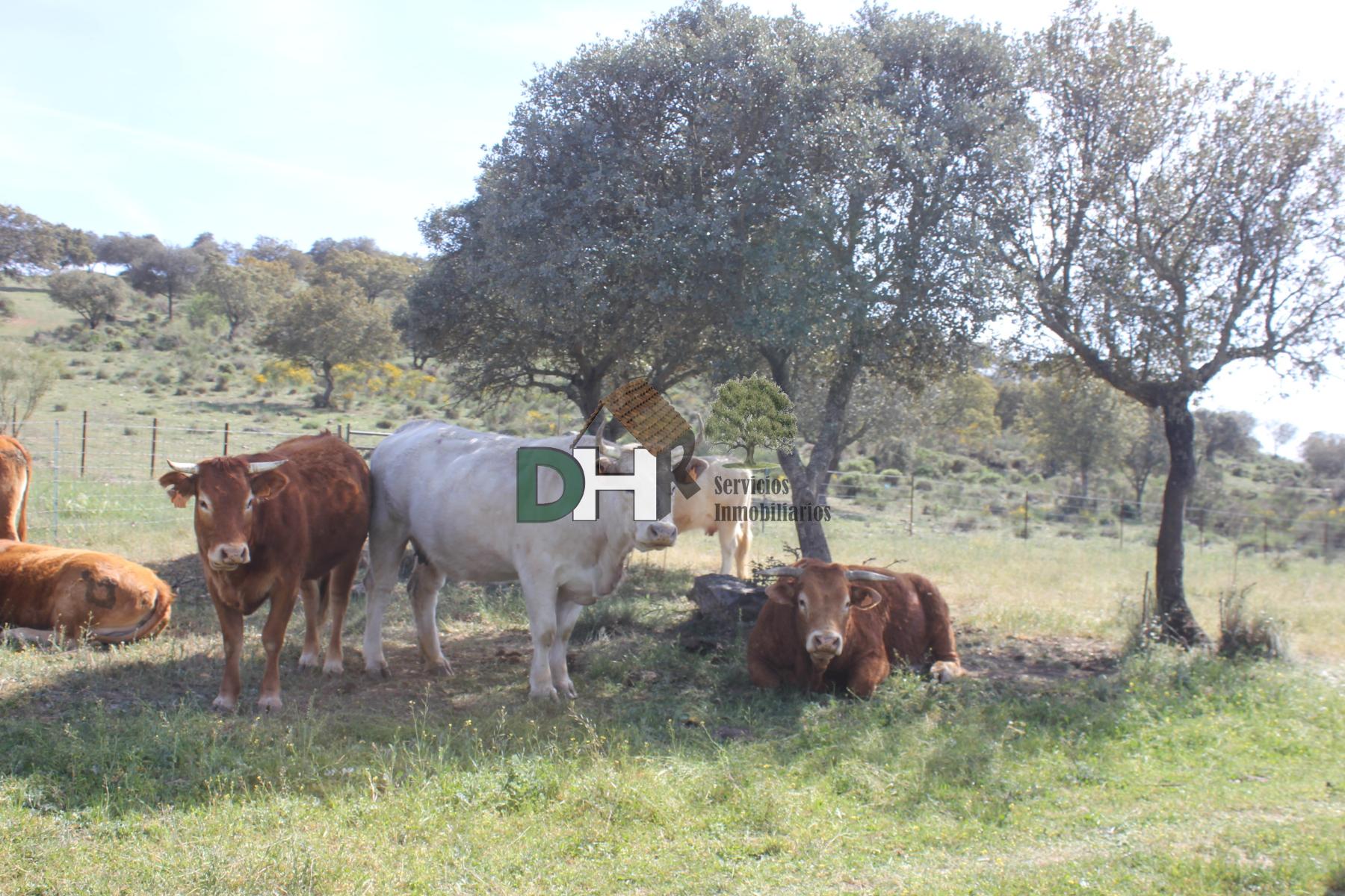 Venta de terreno en Badajoz