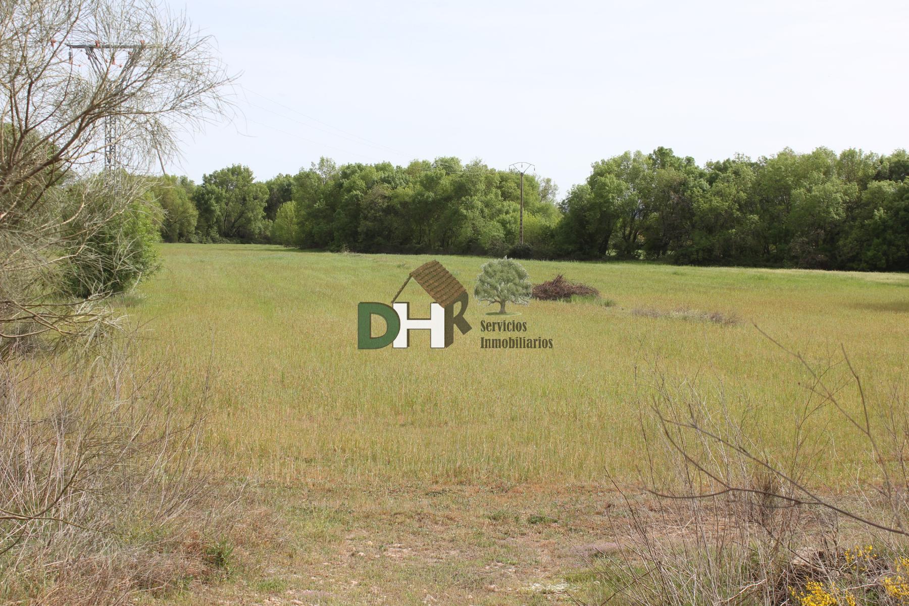 For sale of land in Cáceres