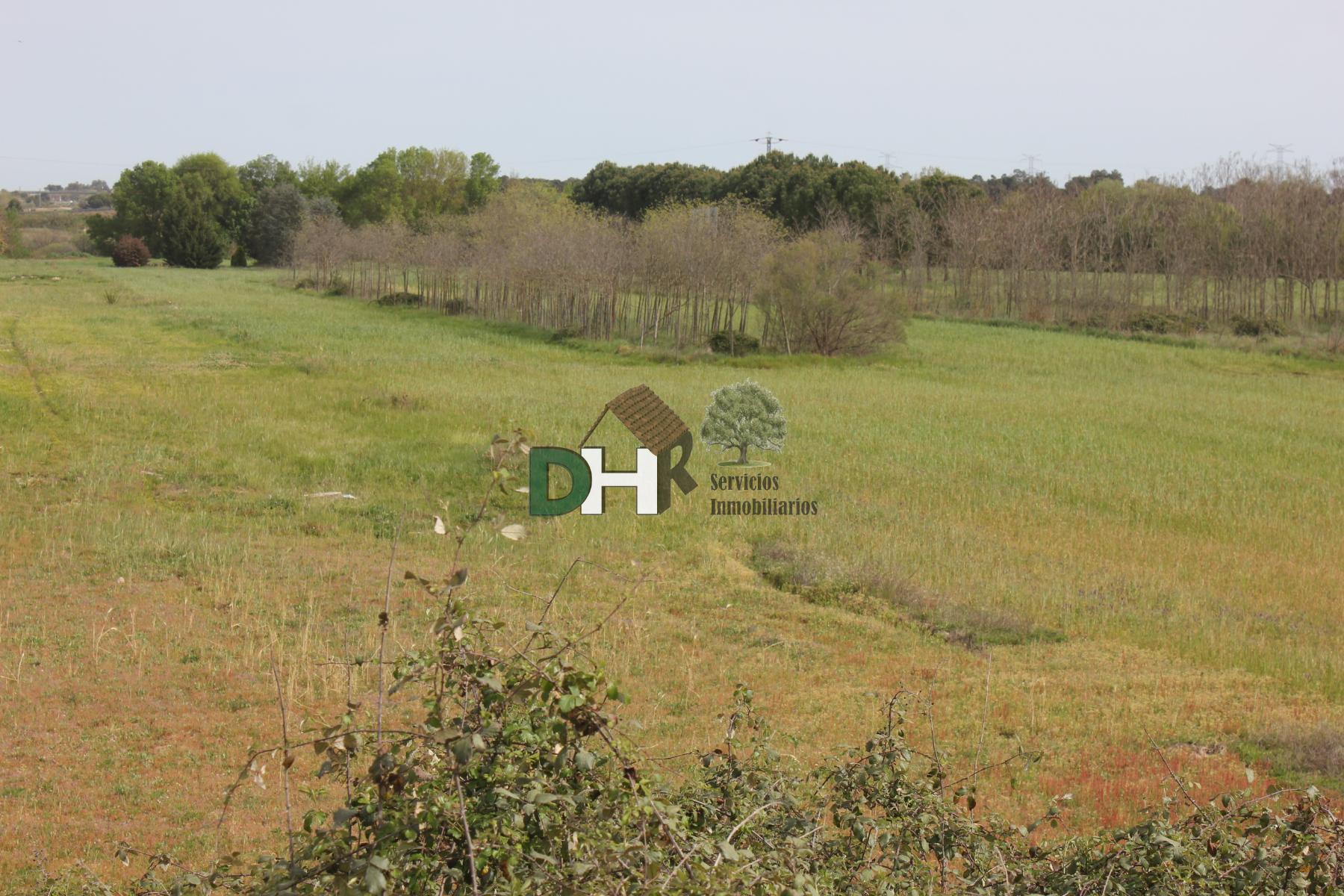 For sale of land in Cáceres