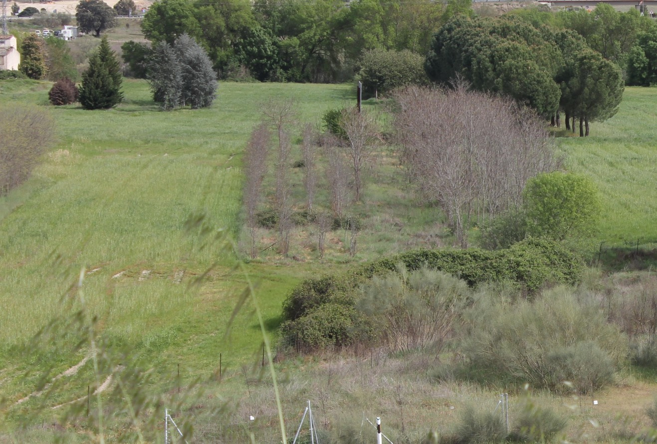 Venta de terreno en Cáceres