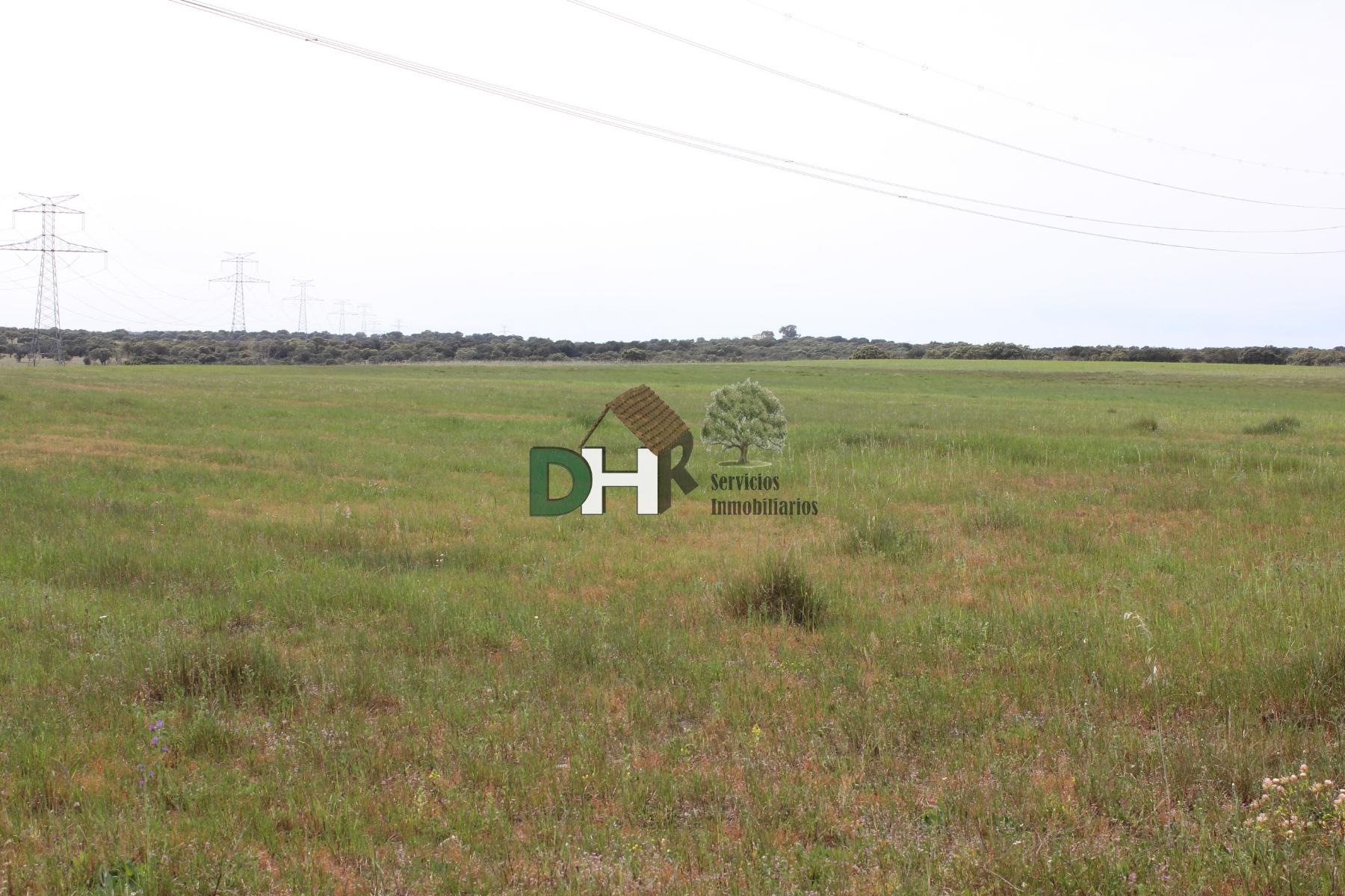 For sale of land in Cáceres