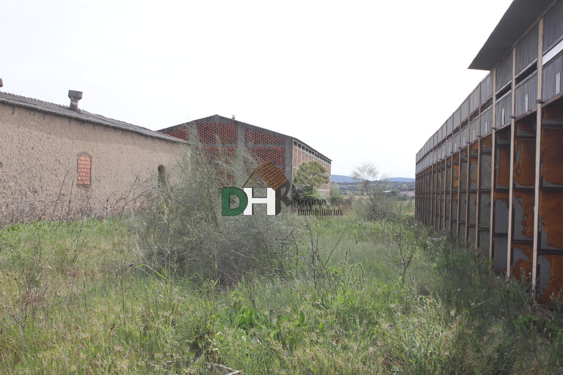 For sale of land in Cáceres