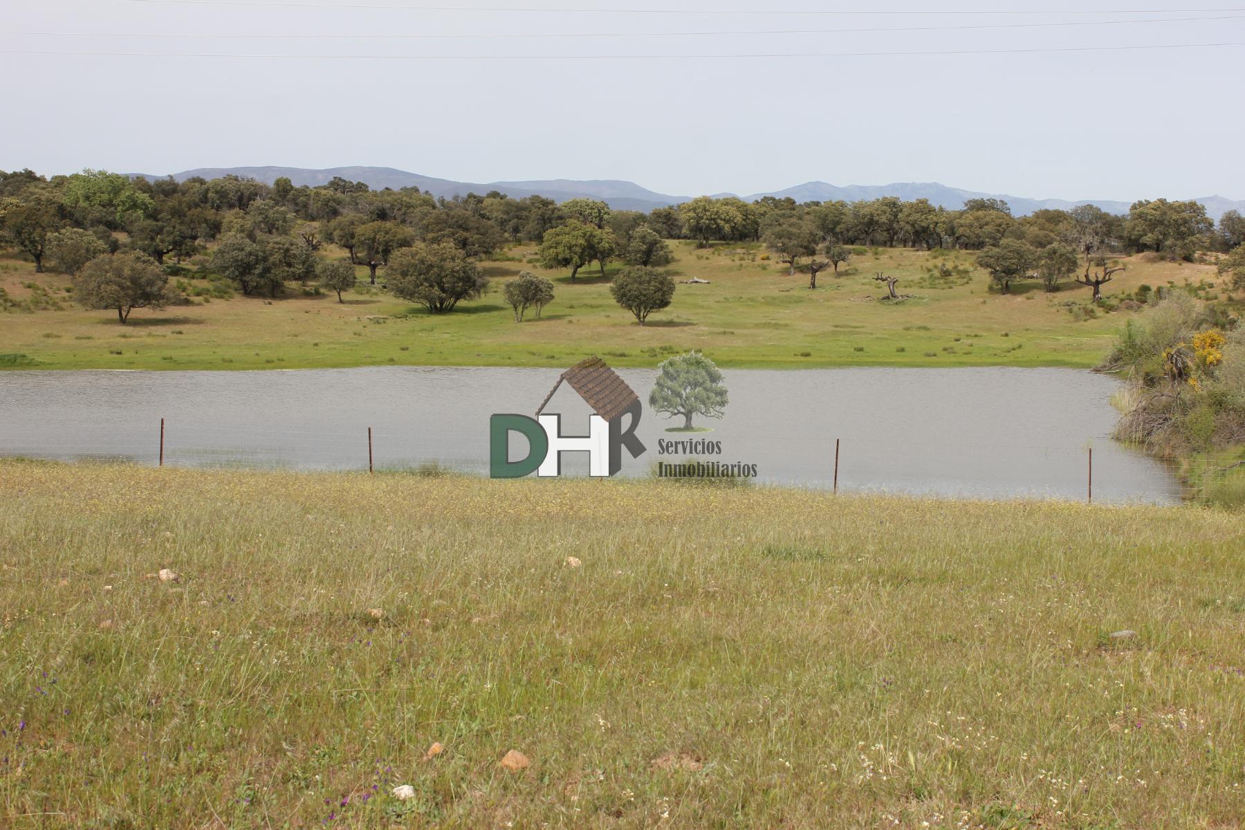 For sale of land in Cáceres