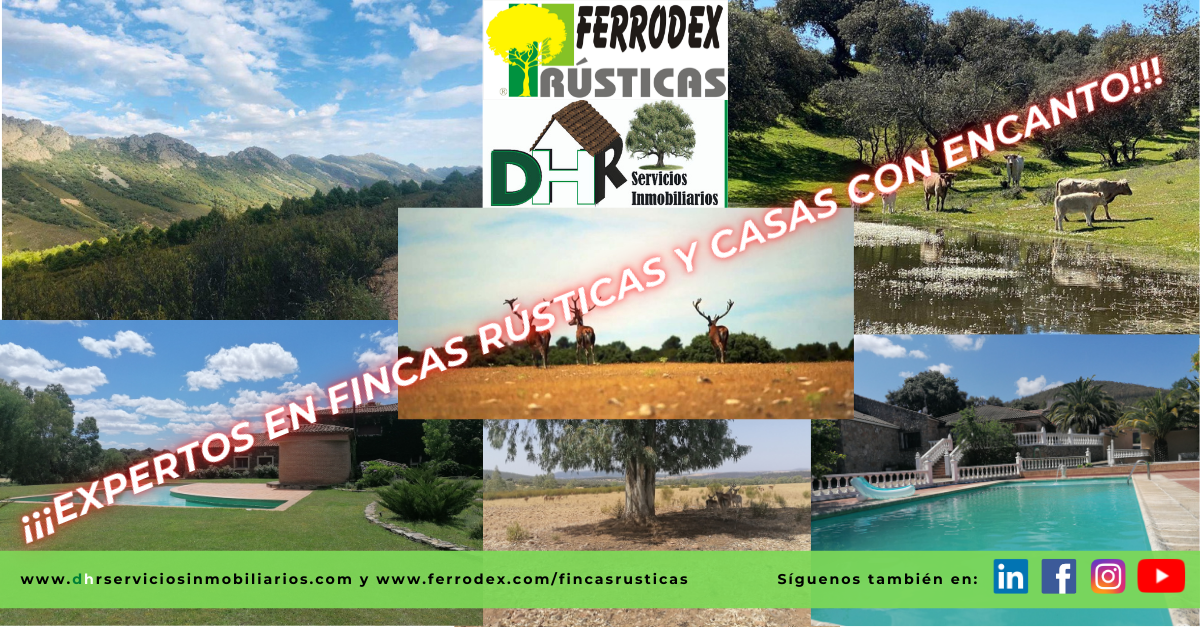 For sale of land in Badajoz