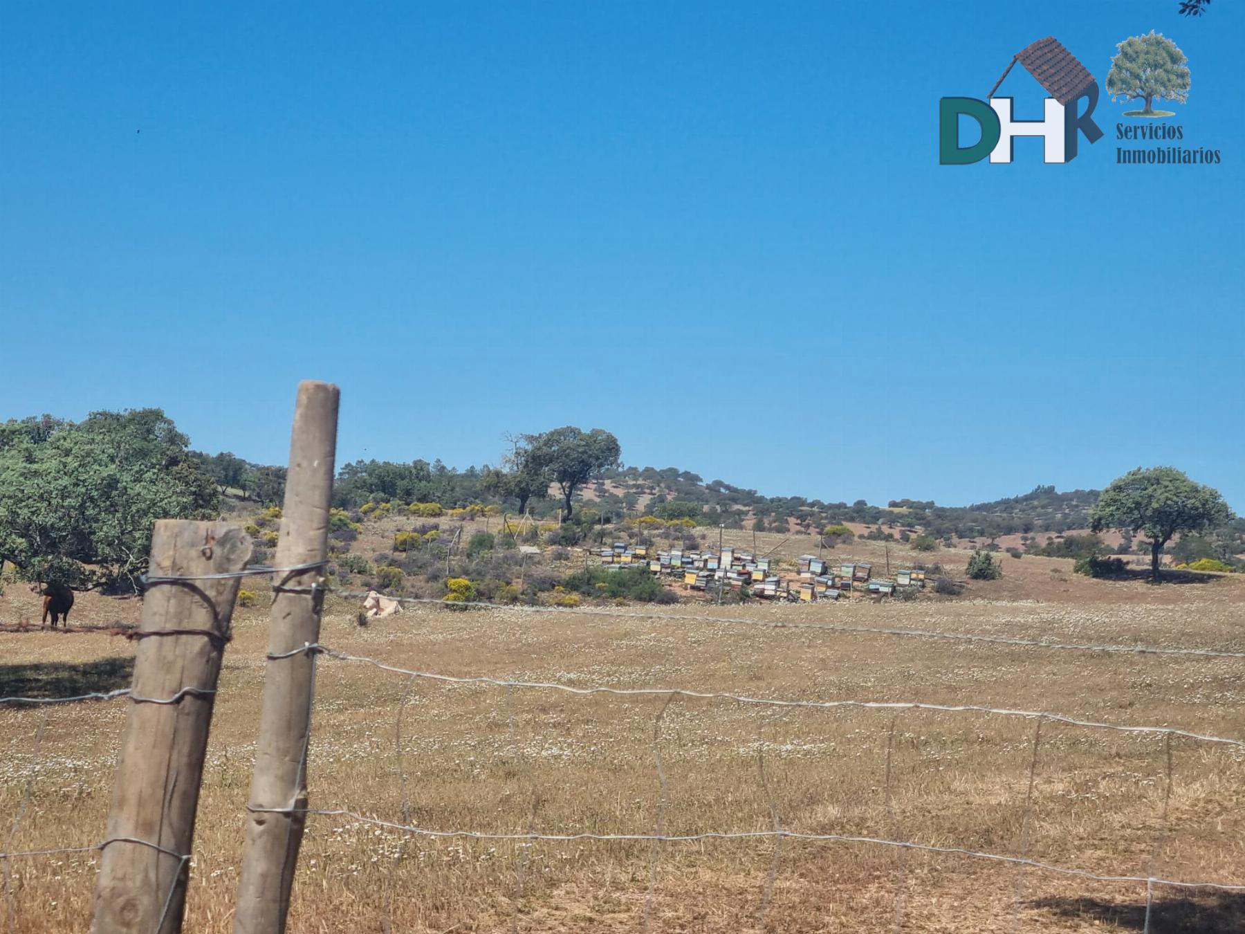 For sale of land in Villanueva del Fresno