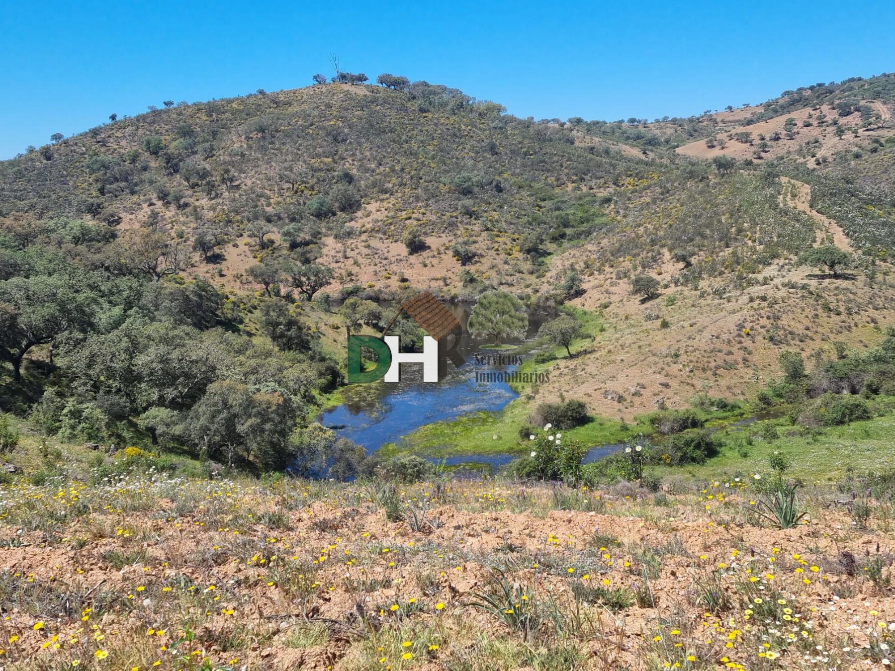 For sale of land in Villanueva del Fresno