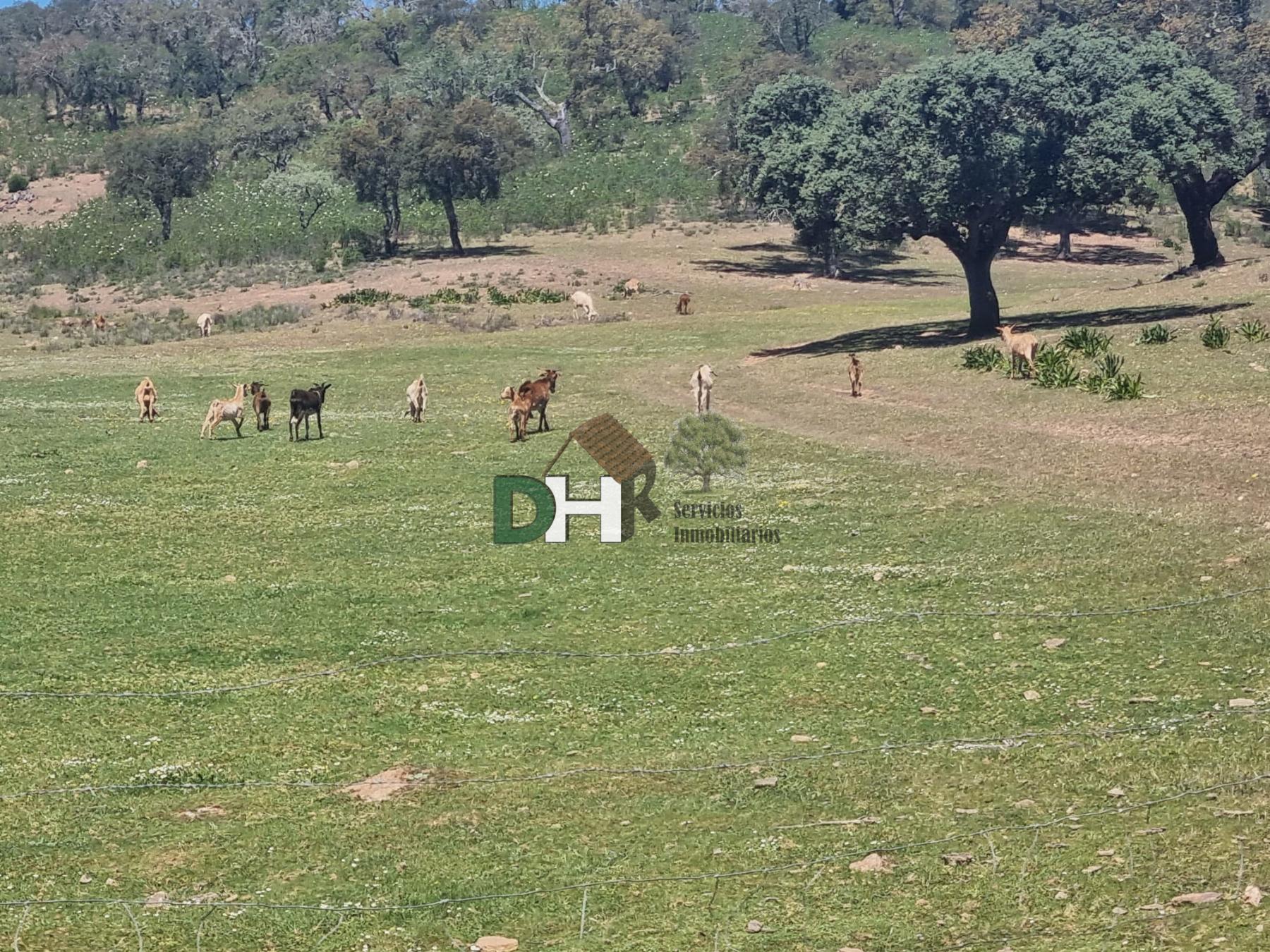 Venta de terreno en Villanueva del Fresno