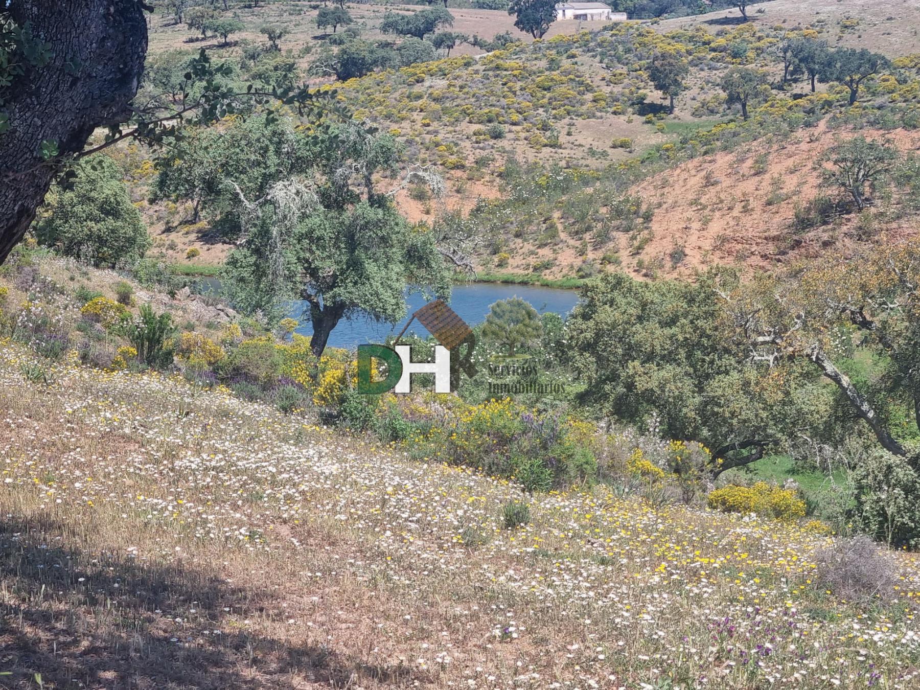 For sale of land in Villanueva del Fresno