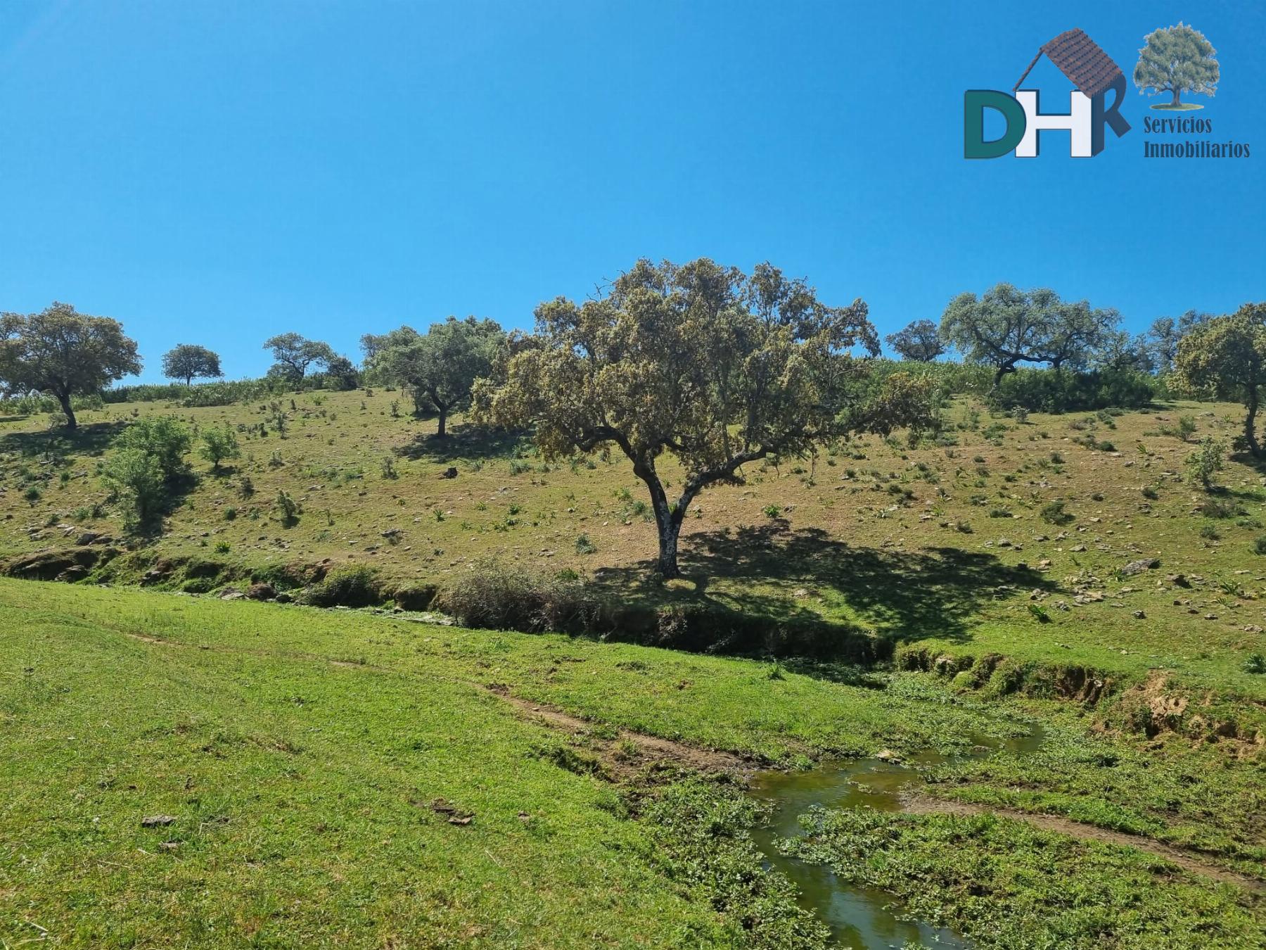 Venta de terreno en Villanueva del Fresno