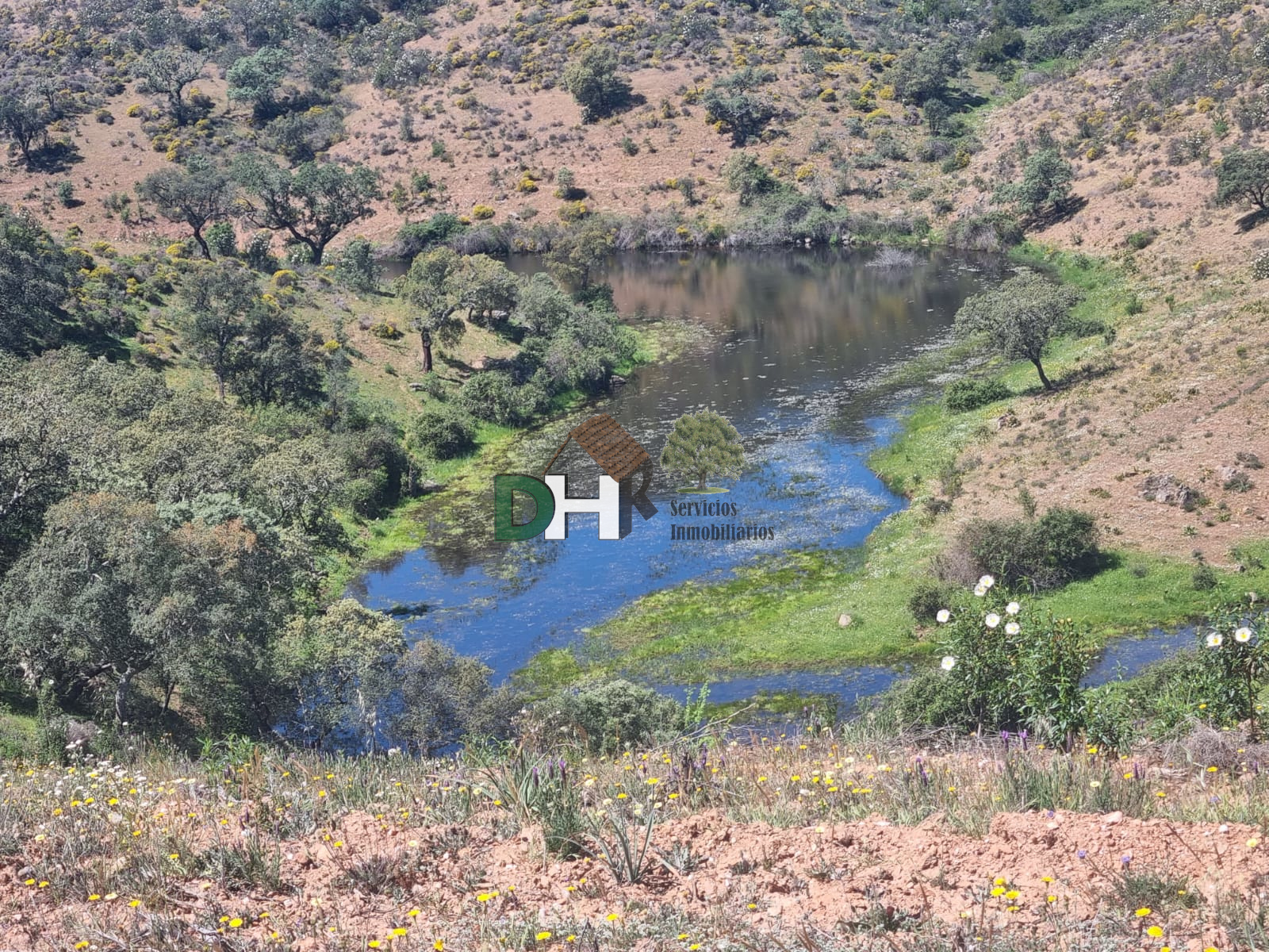 Venta de terreno en Villanueva del Fresno