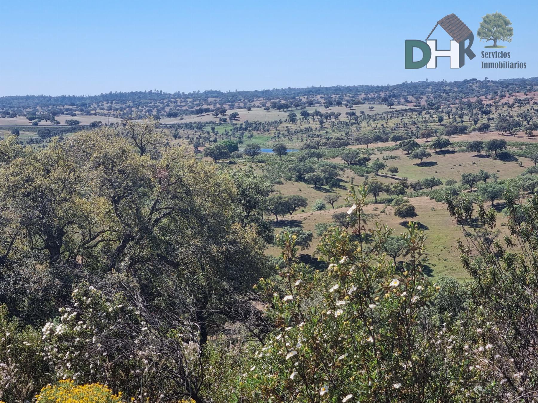 Venta de terreno en Villanueva del Fresno